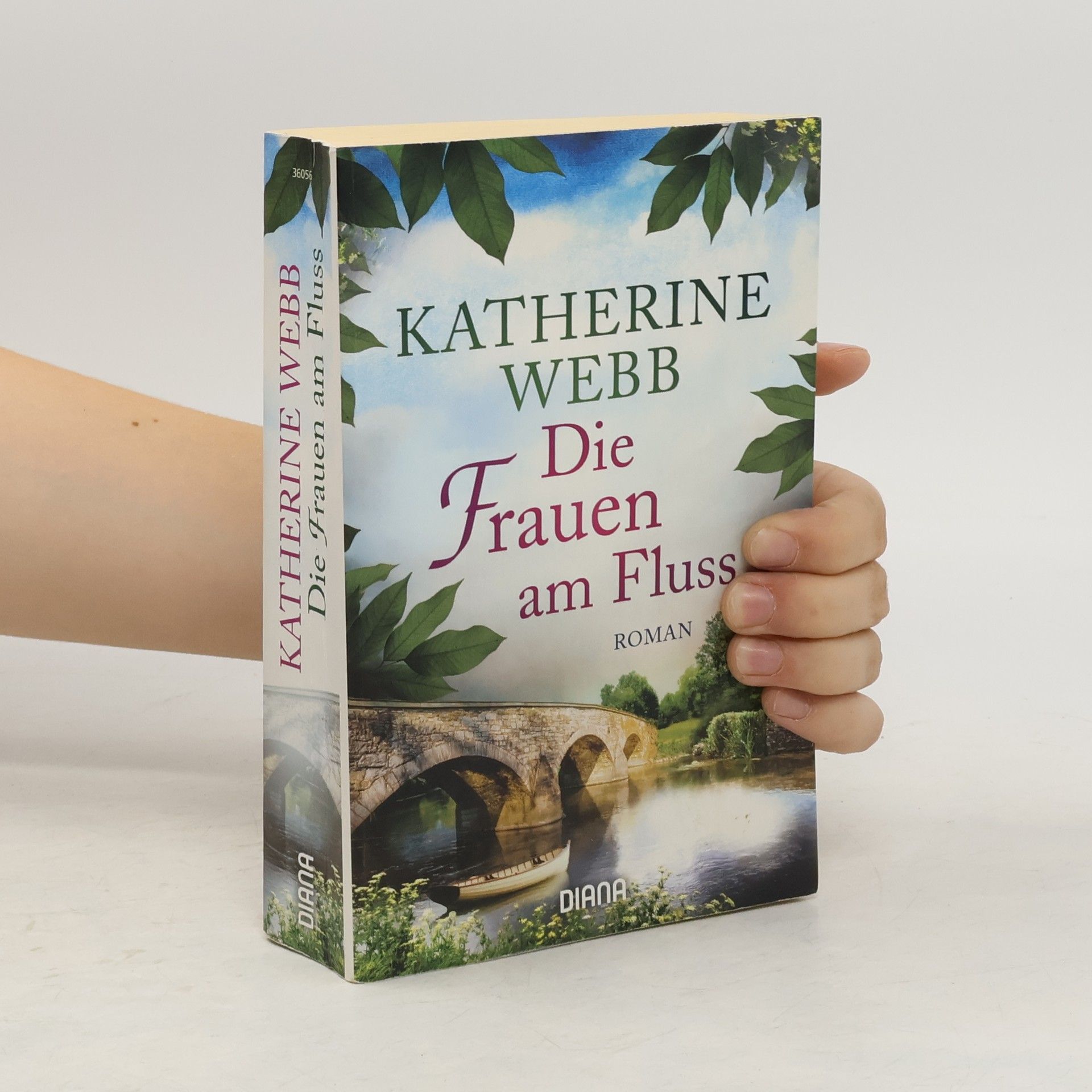Katherine Webb Die Frauen am Fluss