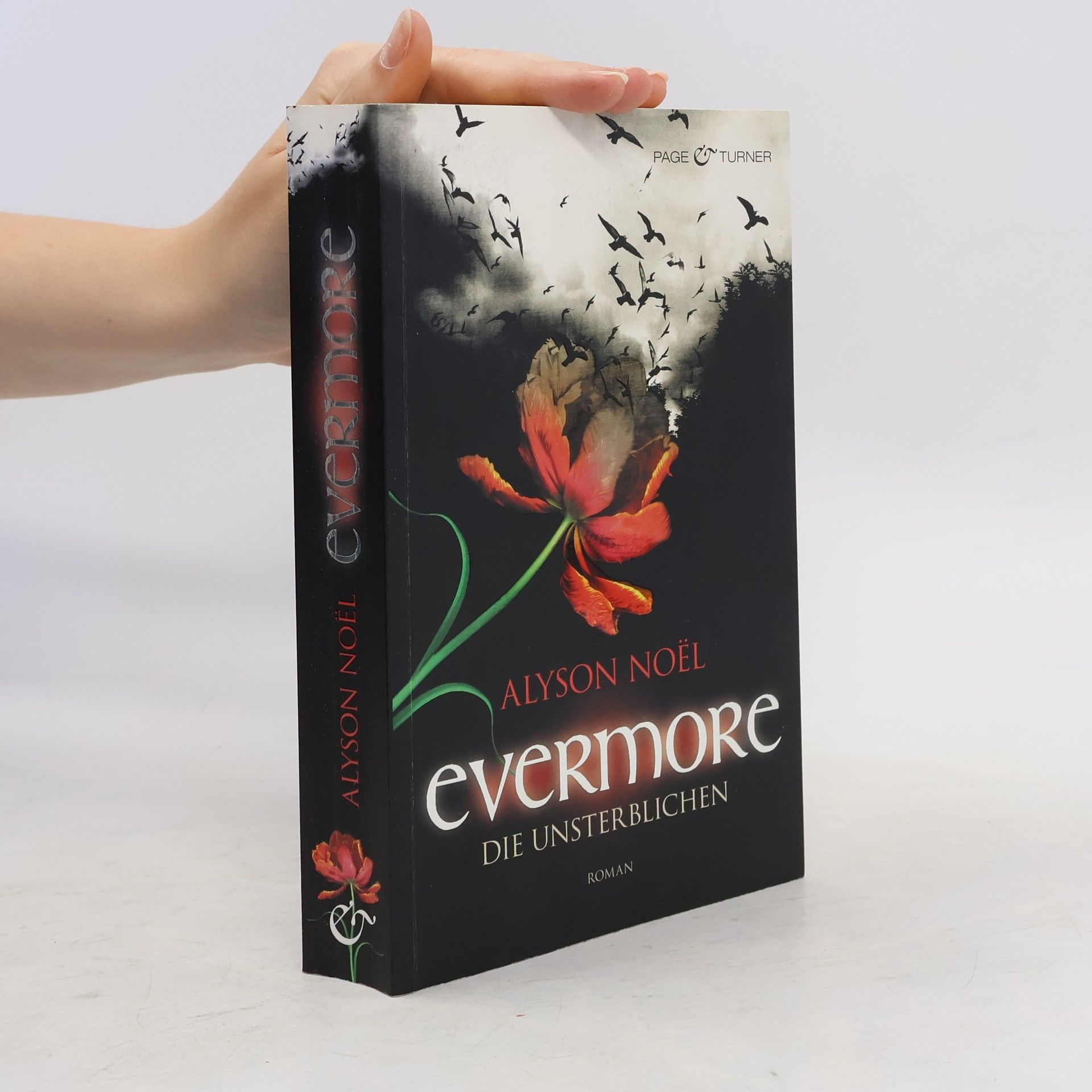 Alyson Noël Evermore 1