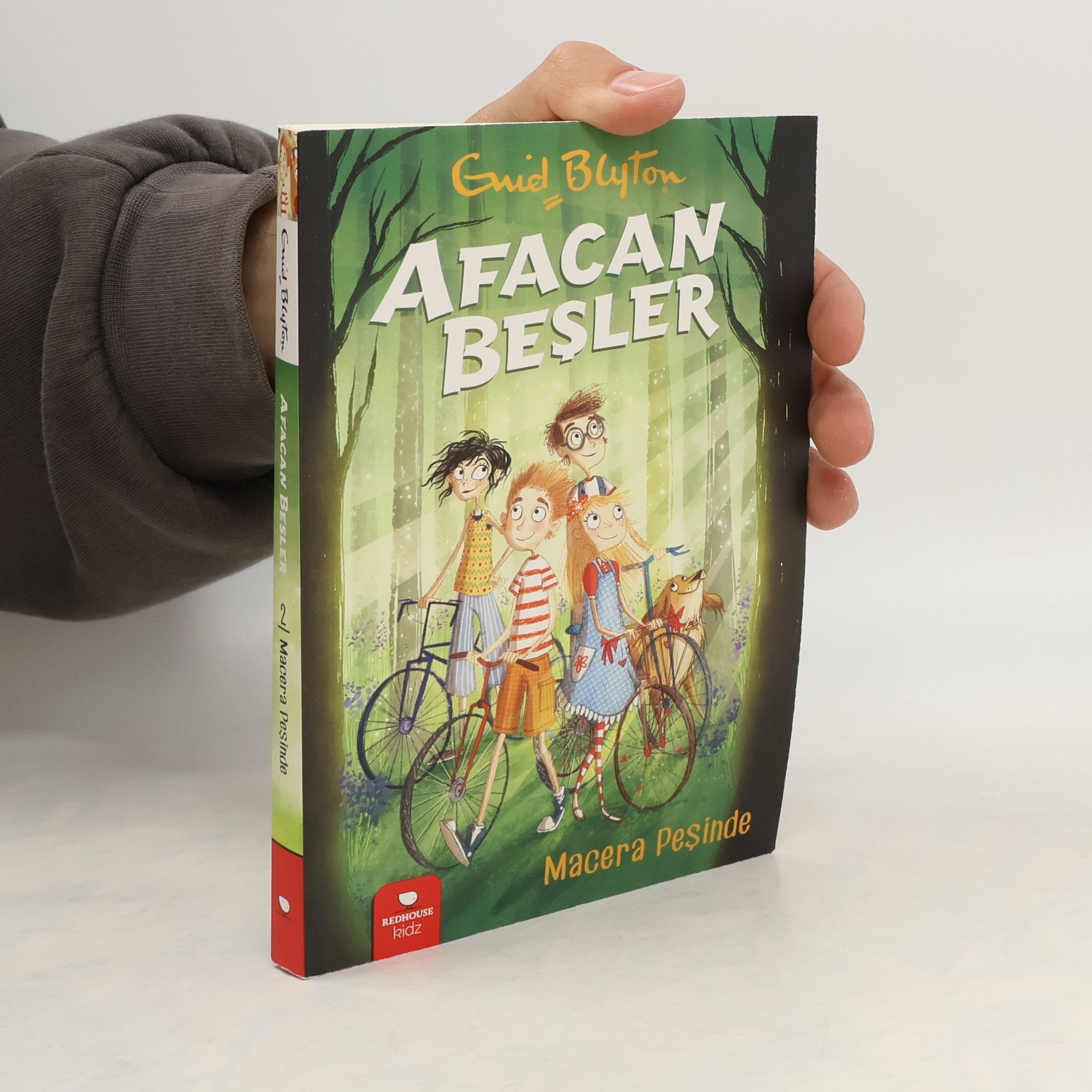 Enid Blyton Afacan Besler