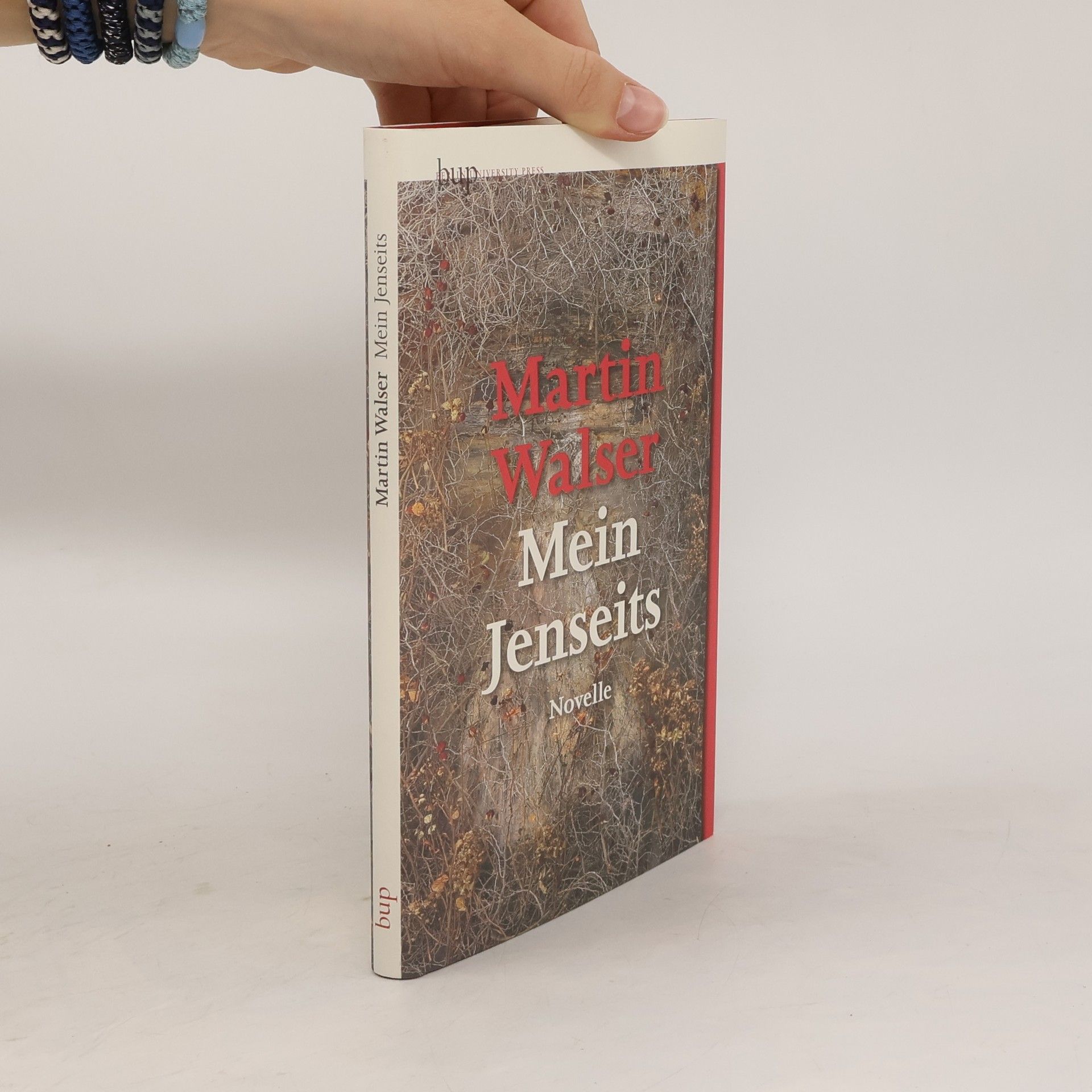 Martin Walser Mein Jenseits