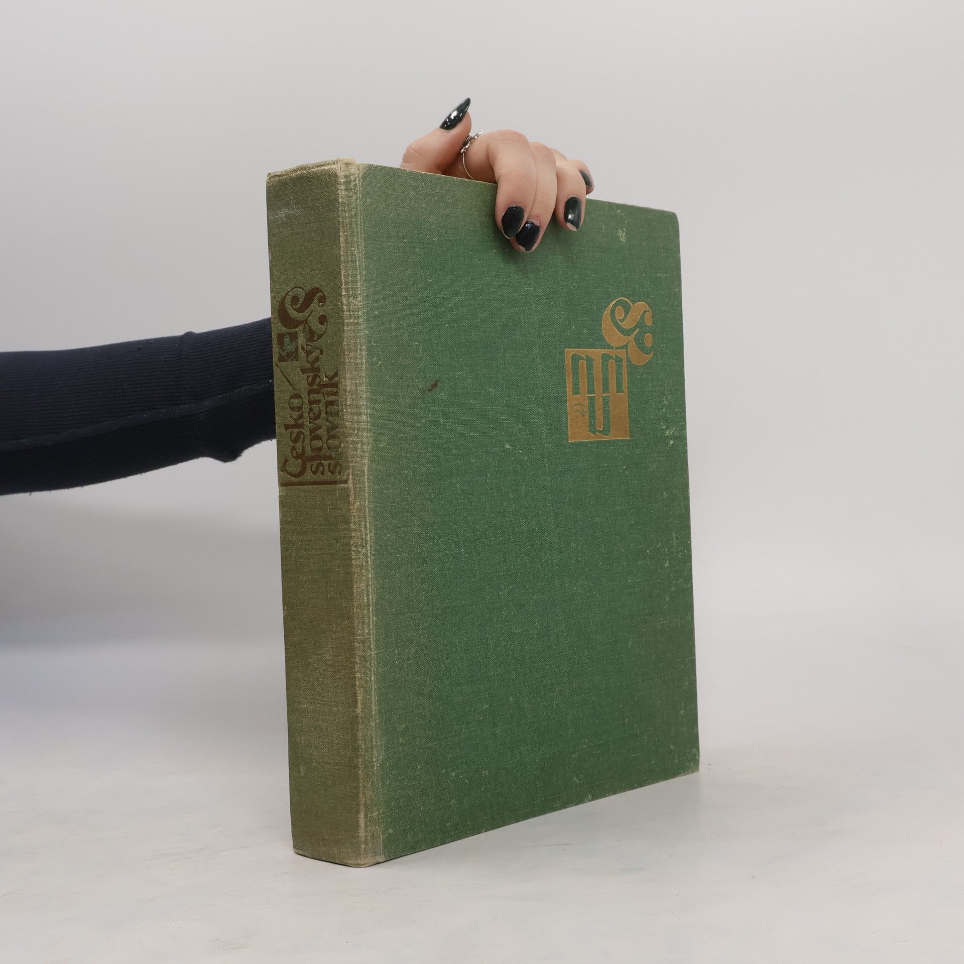 Kolektív autorov Česko-slovenský slovník