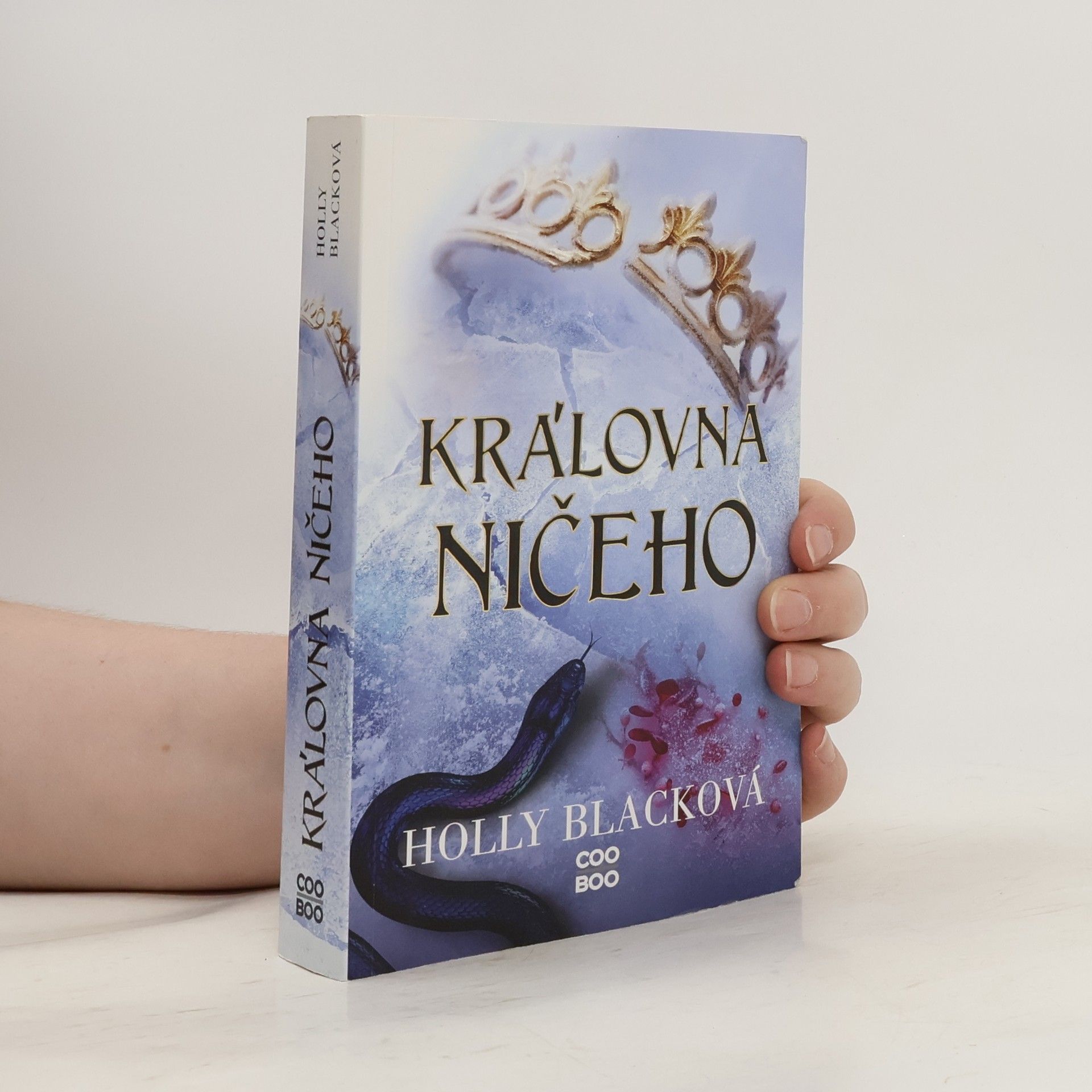 Holly Black Královna ničeho