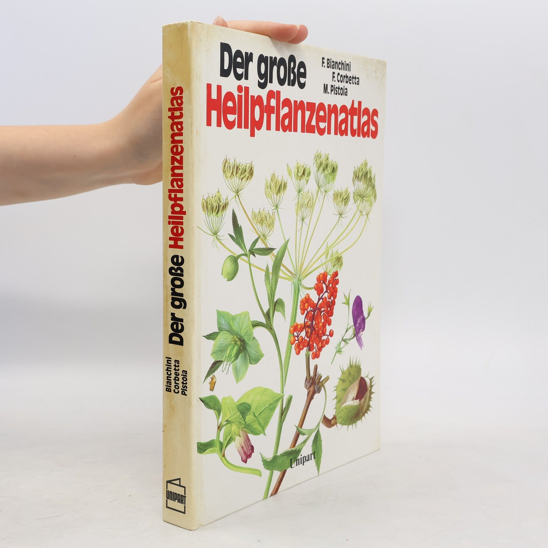 Francesco Bianchini Der grosse Heilpflanzenatlas