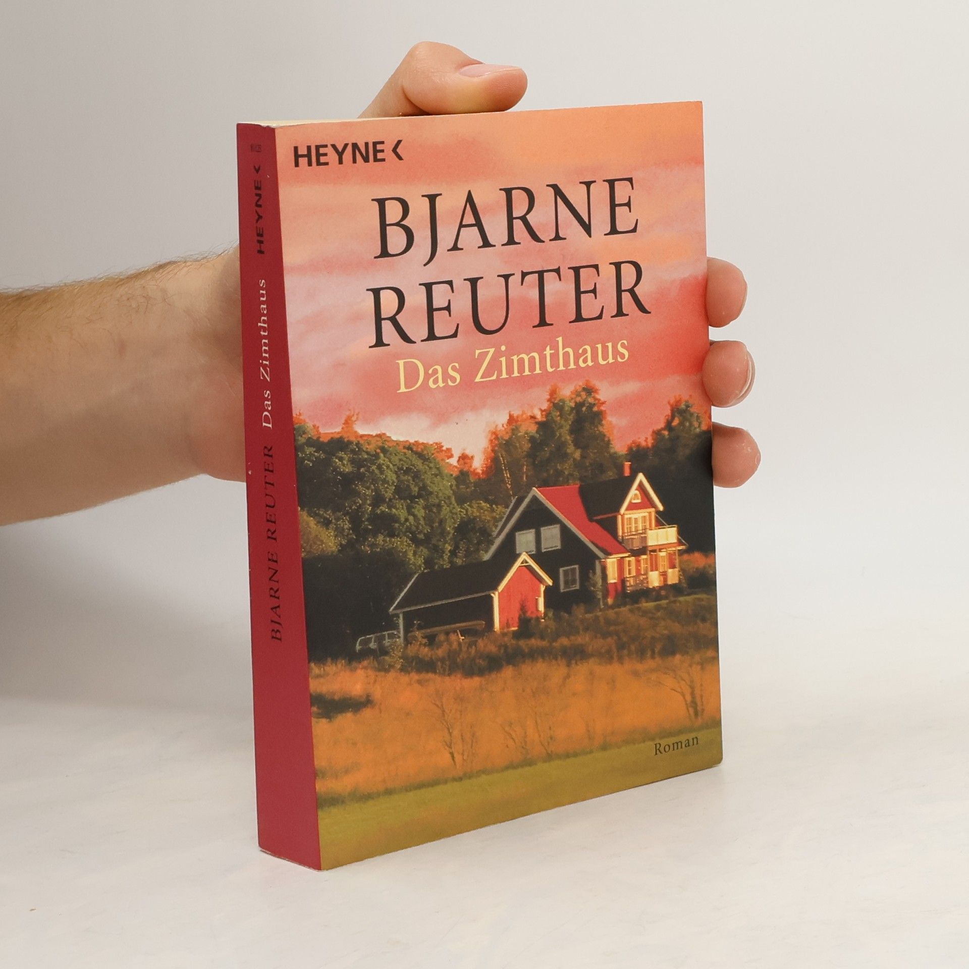 Bjarne Reuter Das Zimthaus