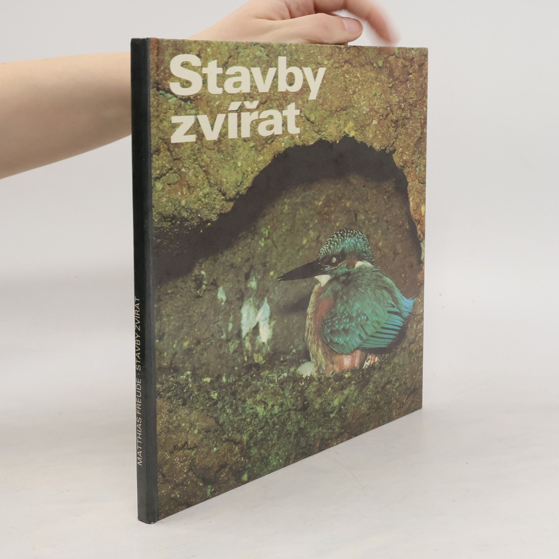Matthias Freude Stavby zvířat