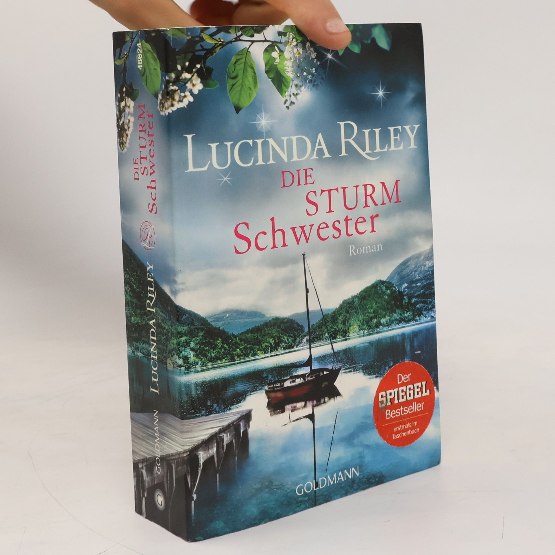 Lucinda Riley Die Sturmschwester