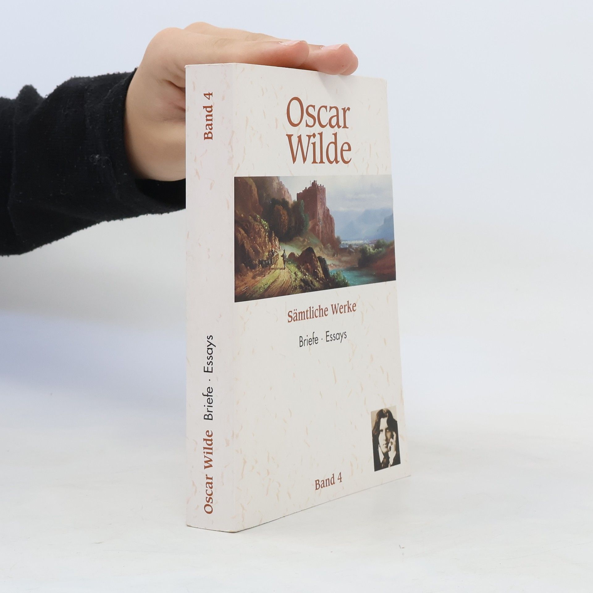 Oscar Wilde Sämtliche Werke 2