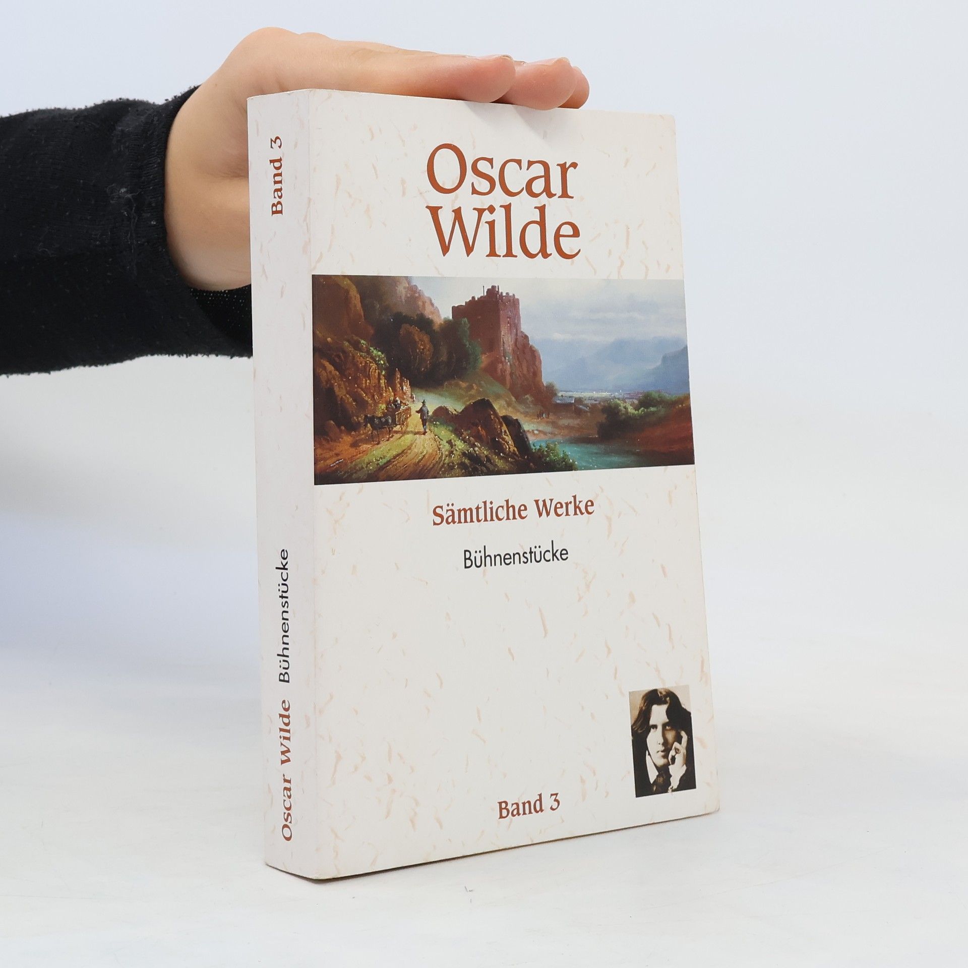 Oscar Wilde Sämtliche Werke 3