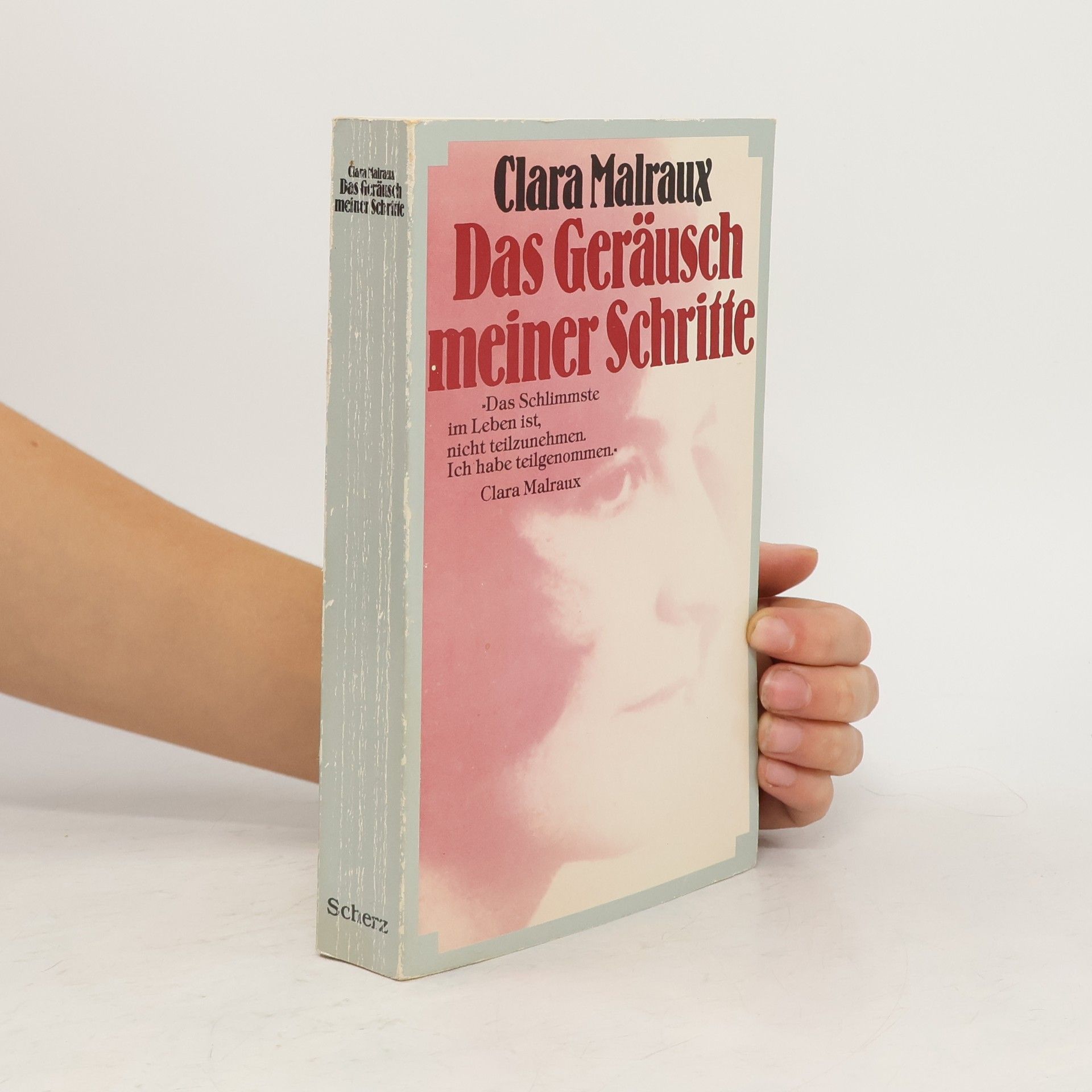 Clara Malraux Das Geräusch meiner Schritte