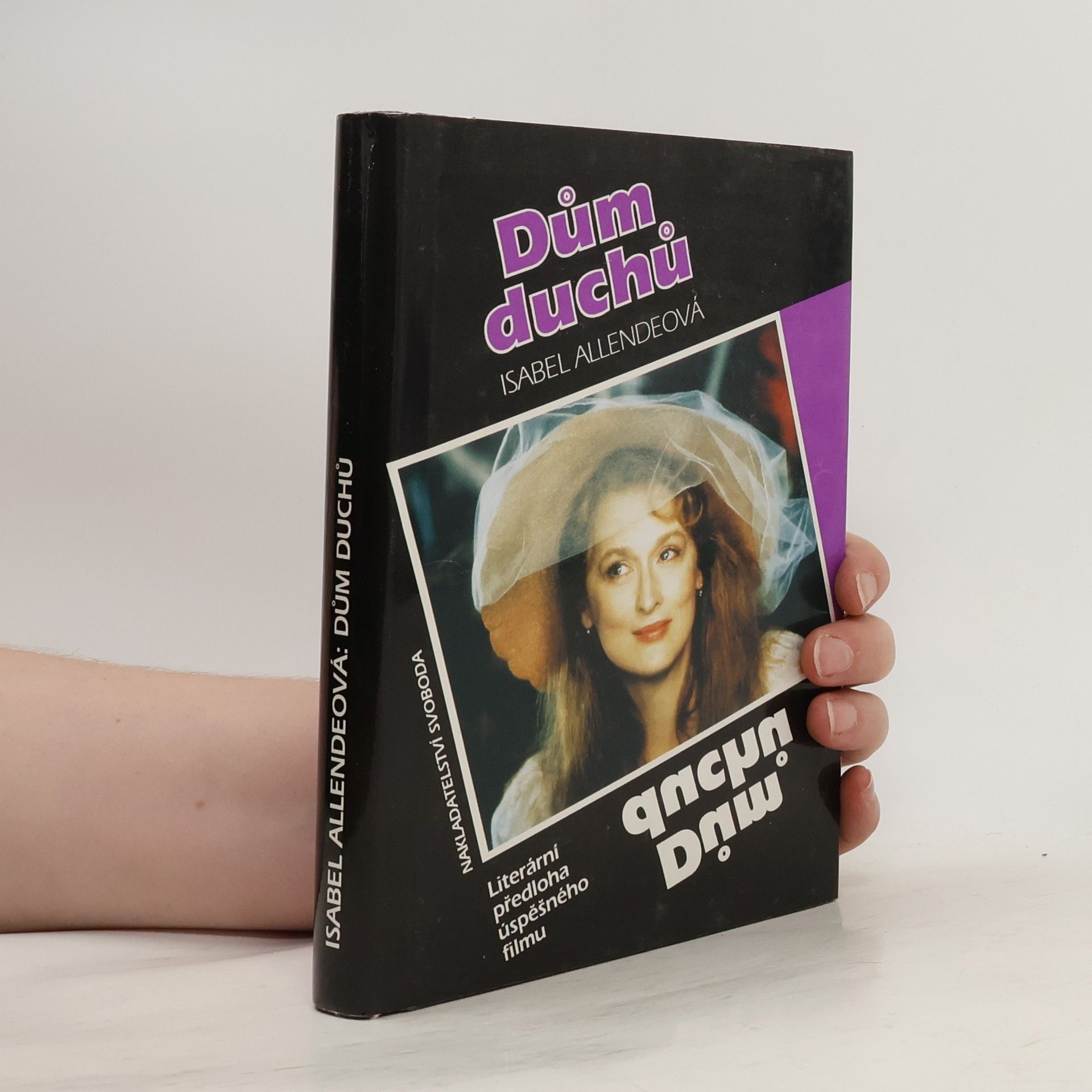 Isabel Allende Dům duchů