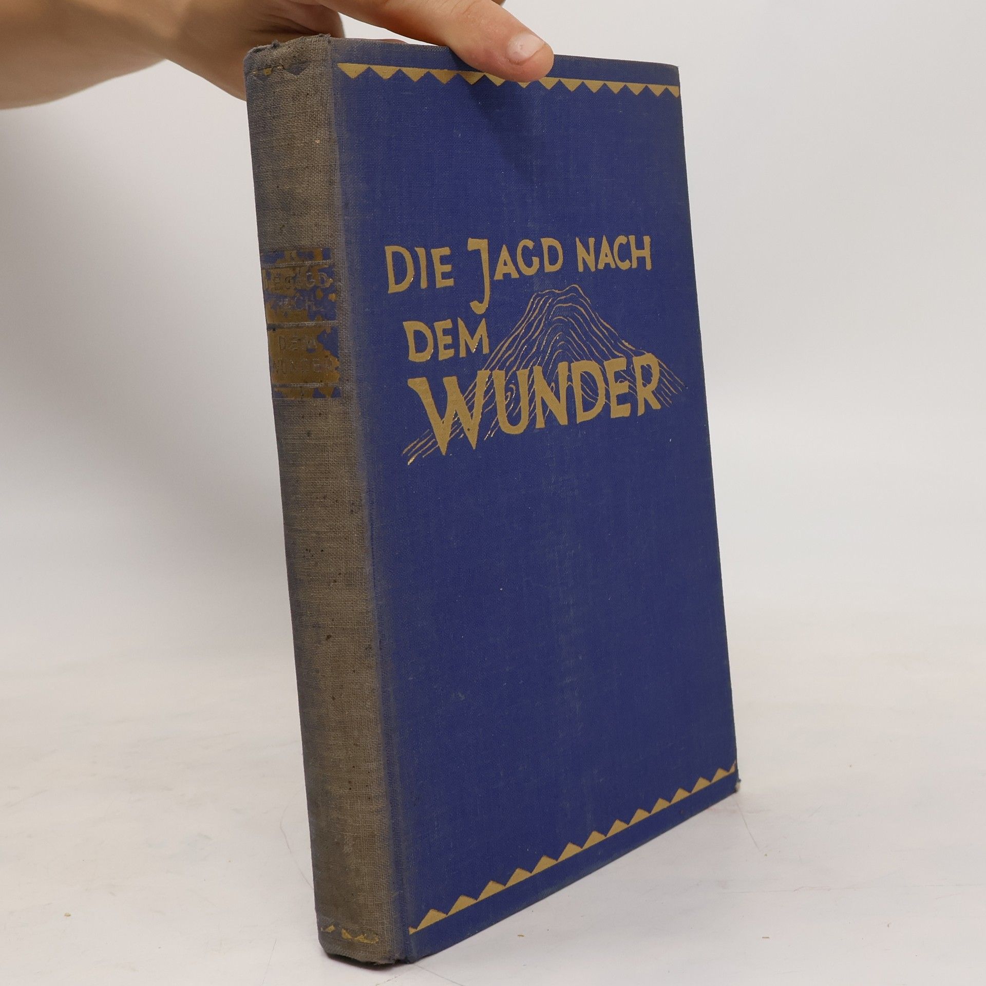 Richard Halliburton Die Jagd nach dem Wunderlicht