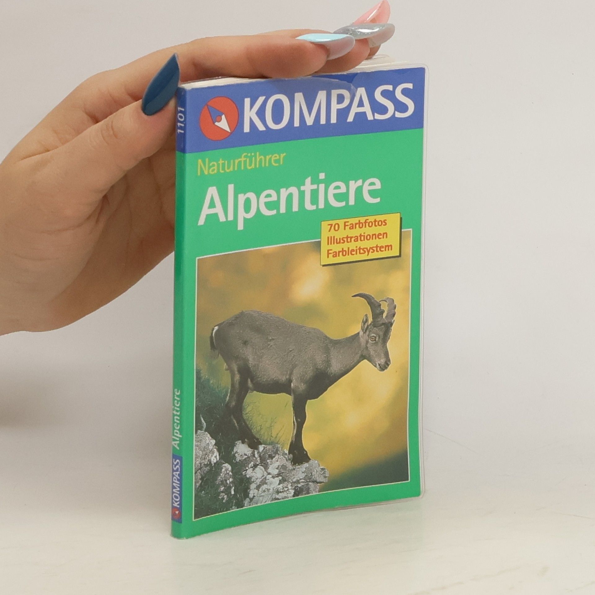 Christine Jaitner Alpentiere sehen und verstehen
