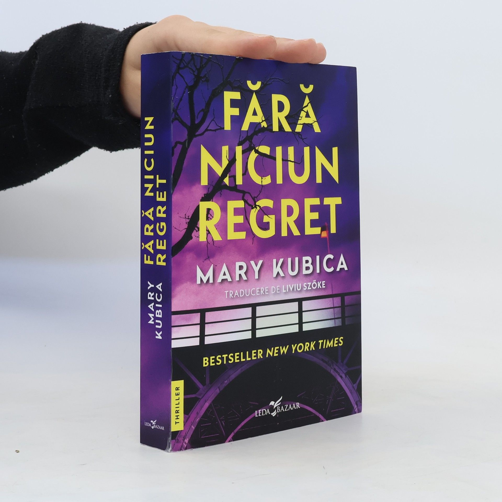 Mary Kubica Fara niciun regret