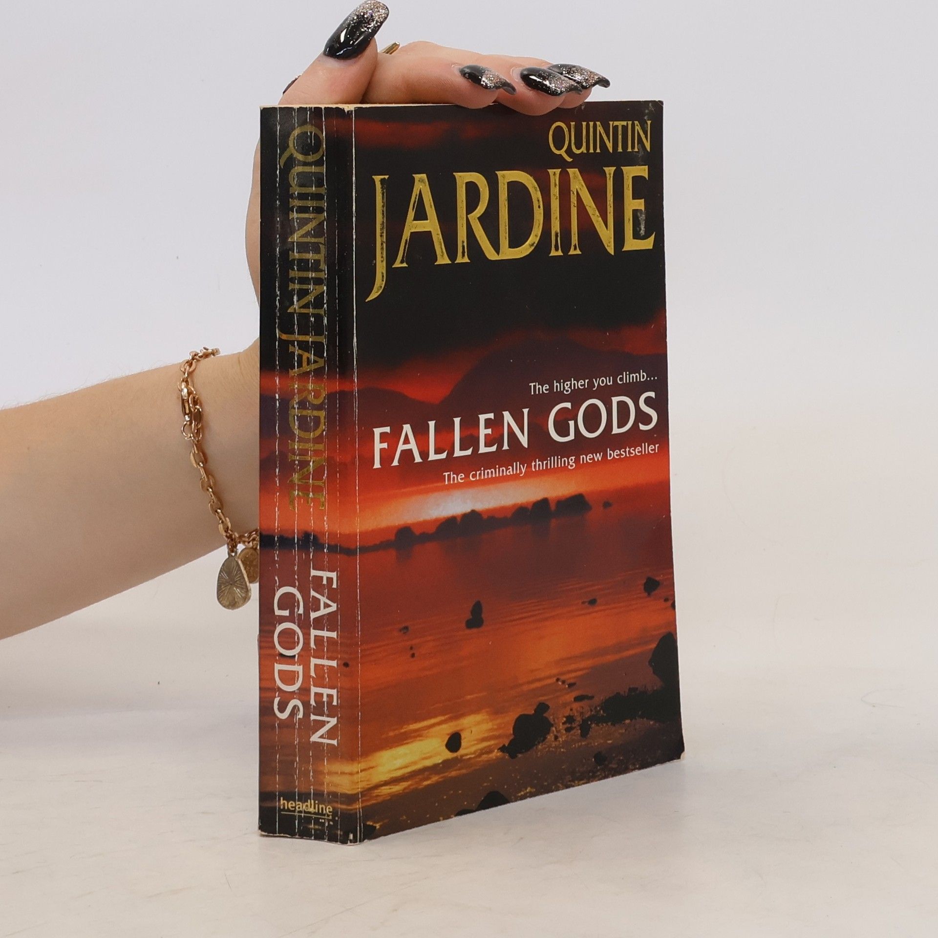 Quintin Jardine Fallen Gods (Bob Skinner series, Book 13)