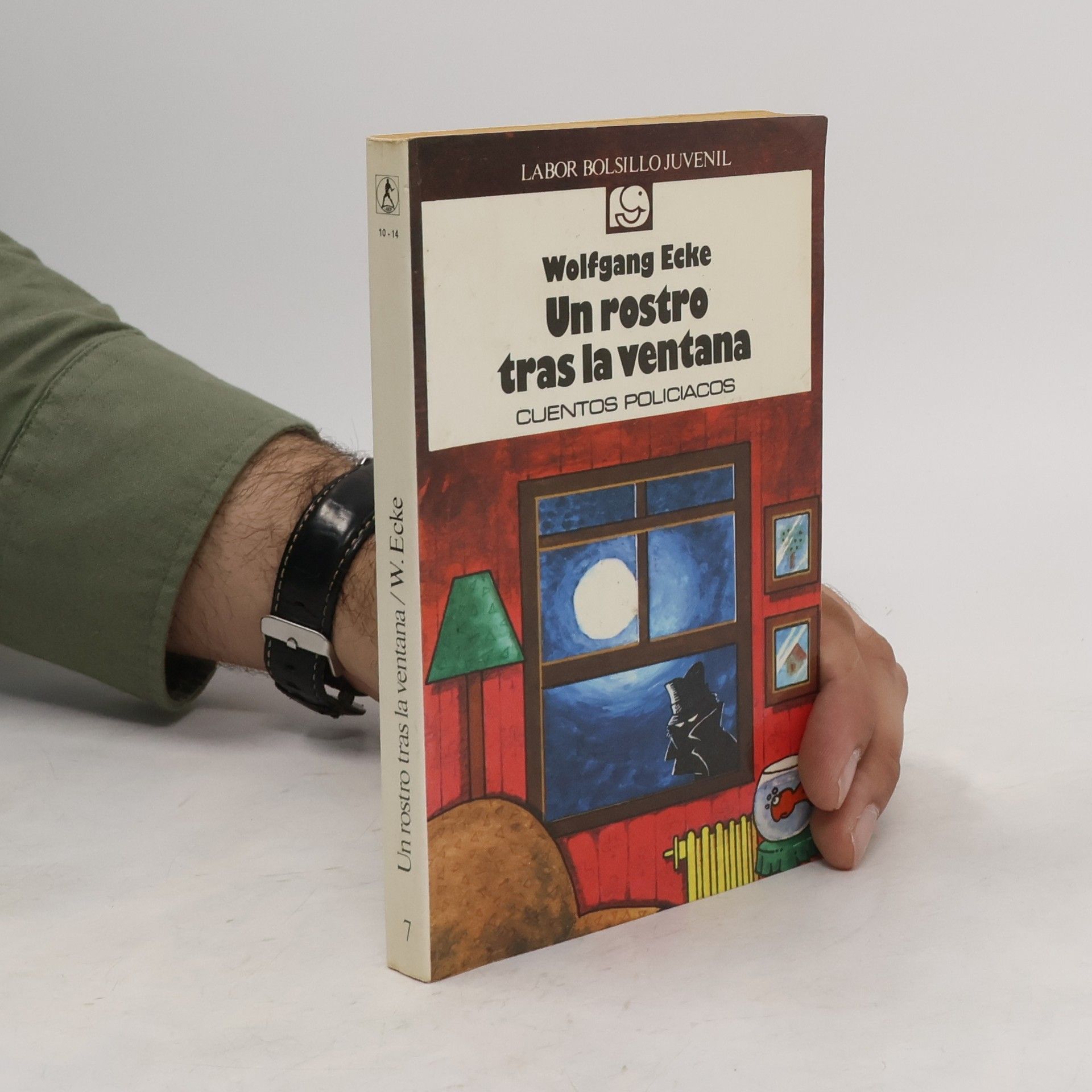 Wolfgang Ecke Un rostro tras la ventana