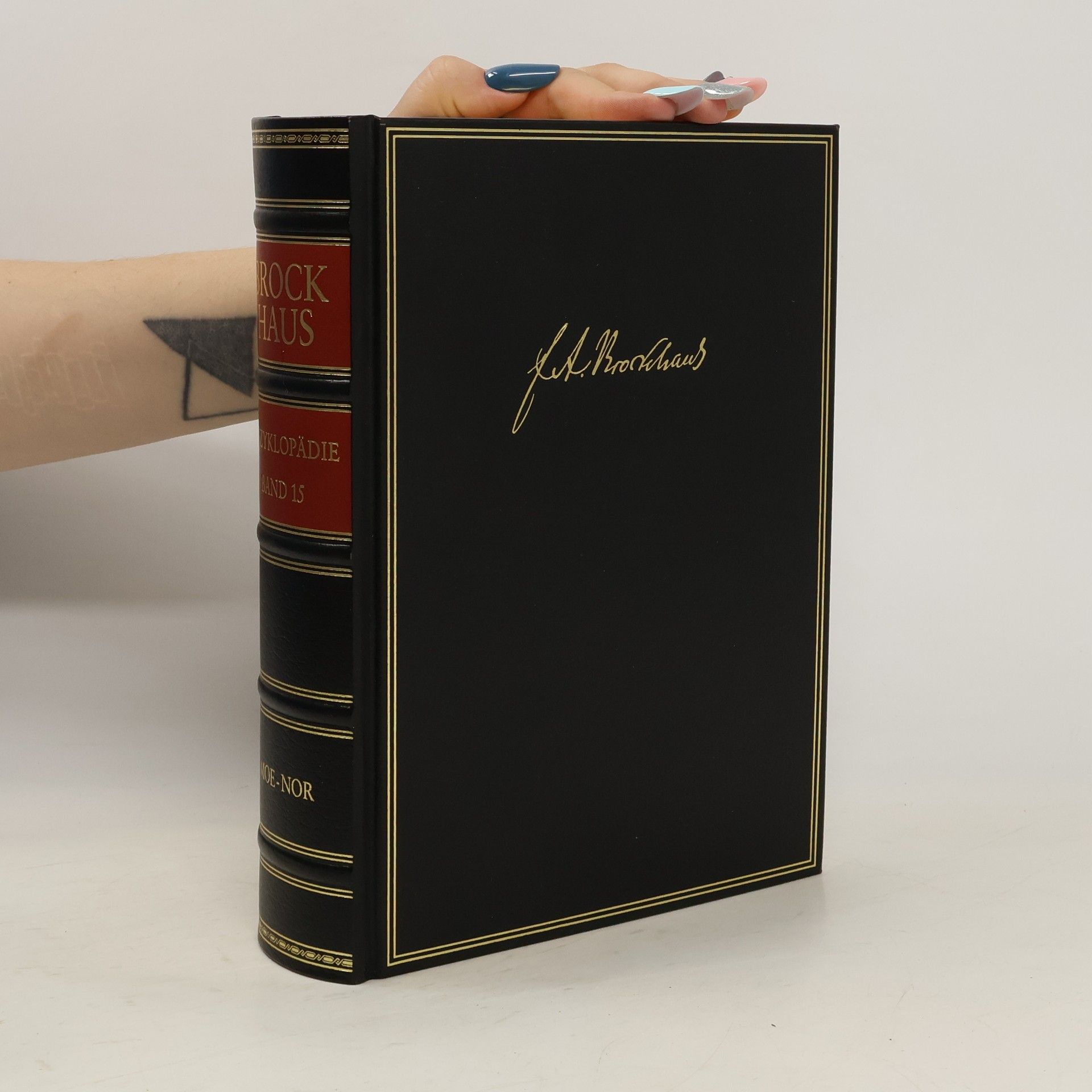 Autorenkollektiv Brockhaus Enzyklopädie 15 (Moe-Nor)
