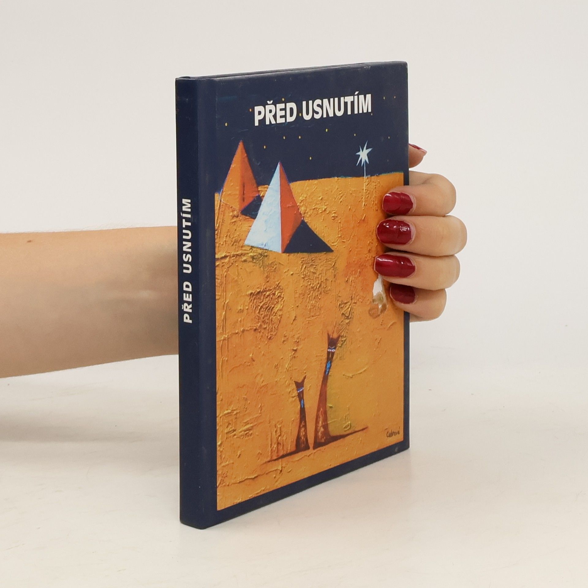 Autorenkollektiv Před usnutím