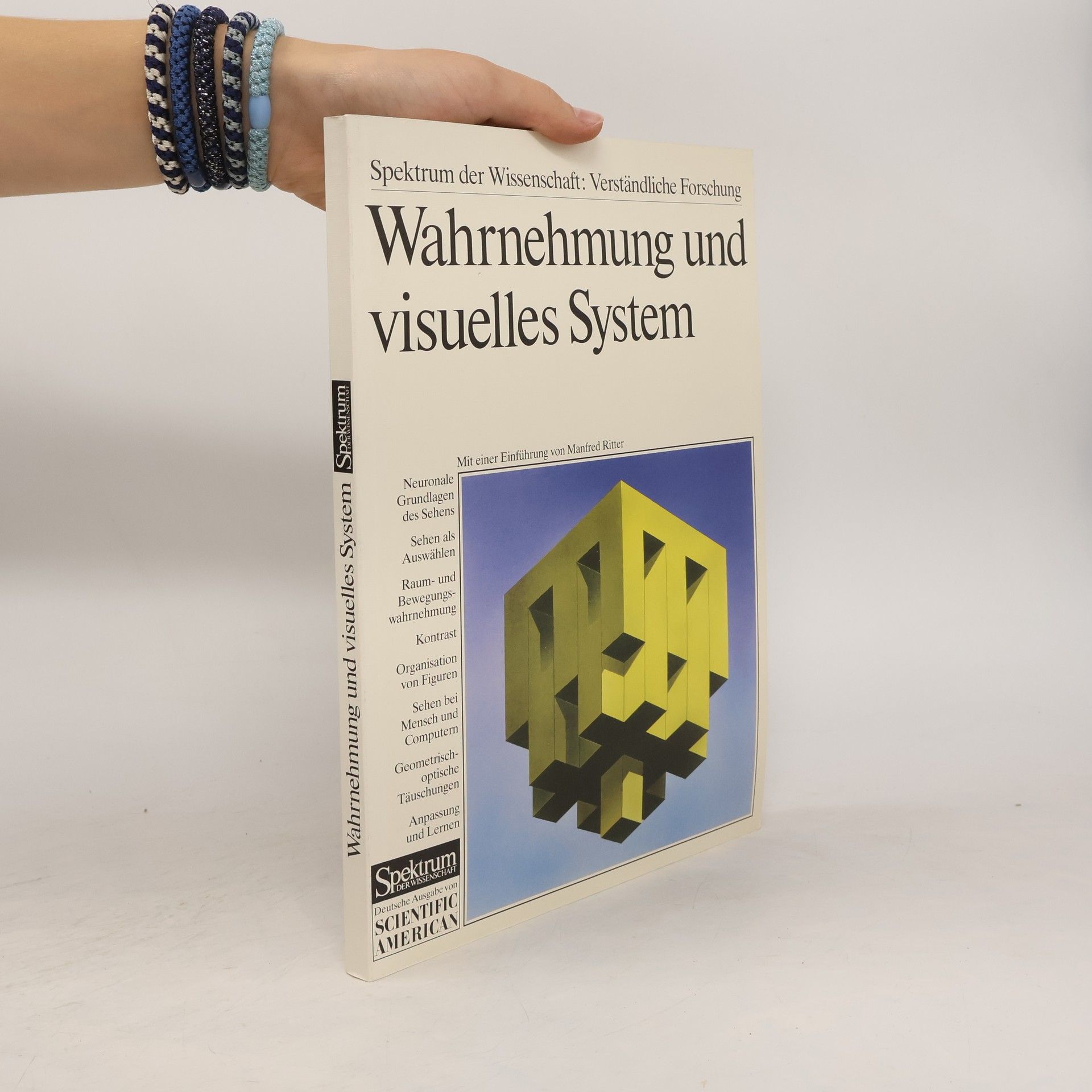Manfred Ritter Wahrnehmung und visuelles System
