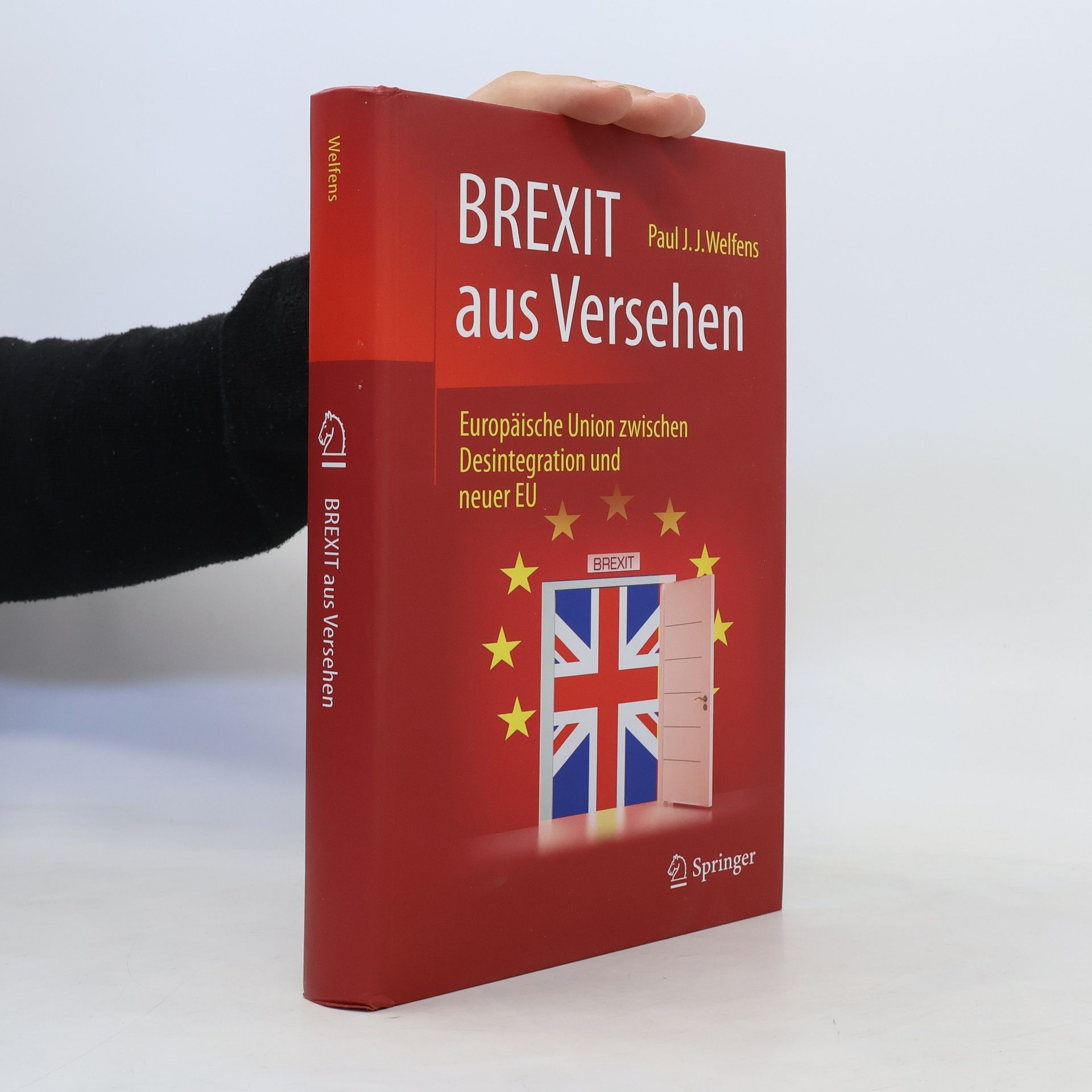 Paul Welfens BREXIT aus Versehen