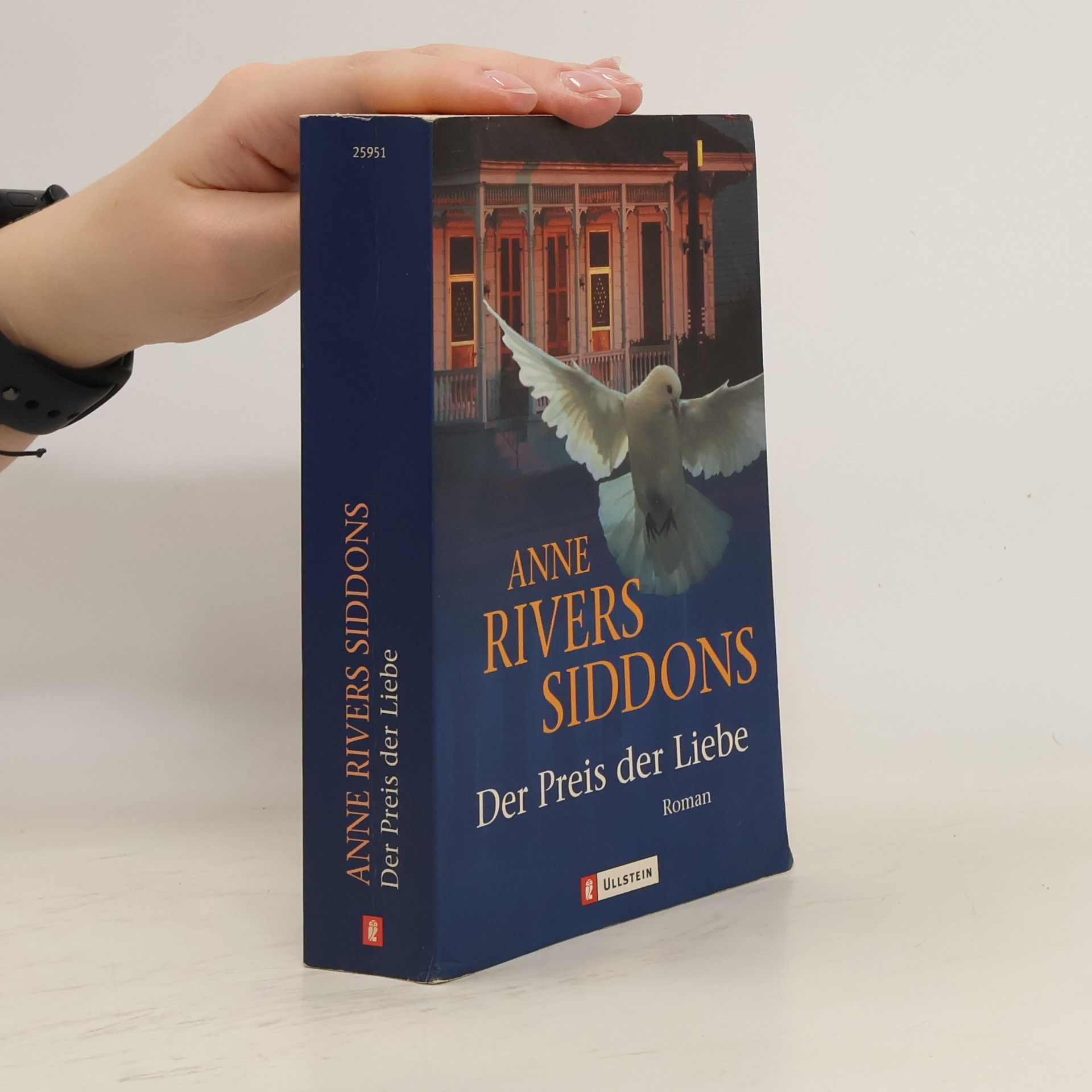 Anne Rivers Siddons Der Preis der Liebe