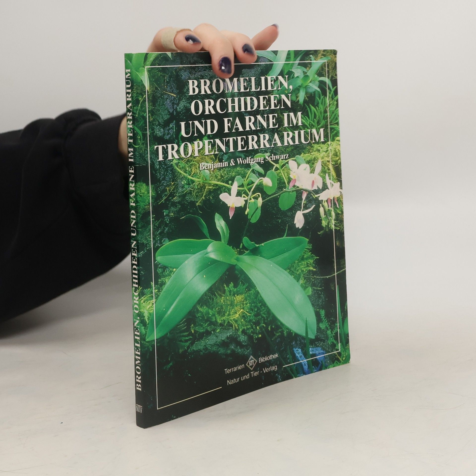 Benjamin Schwartz Orchideen, Bromelien und Farne im Tropenterrarium