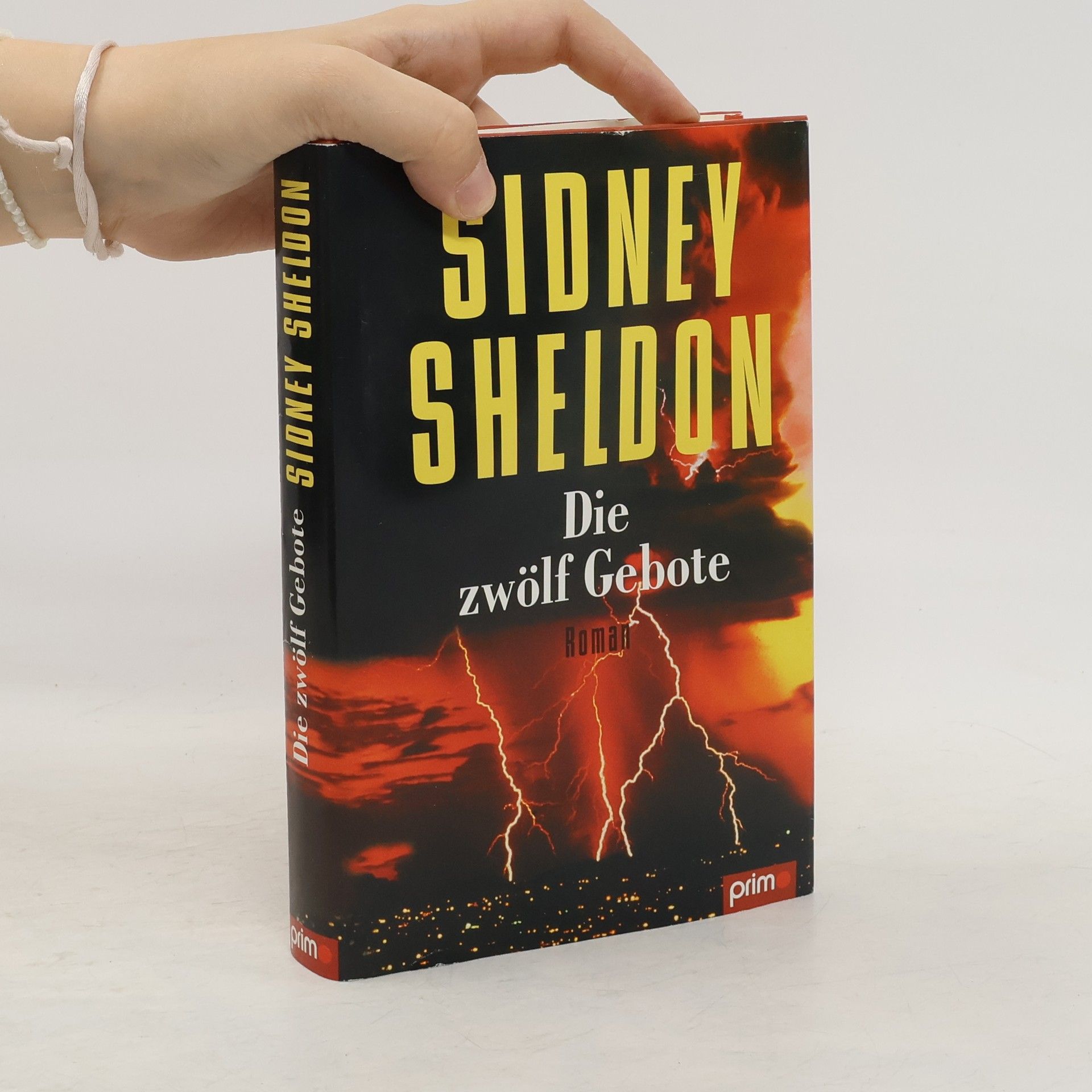 Sidney Sheldon Die Zwölf Gebote