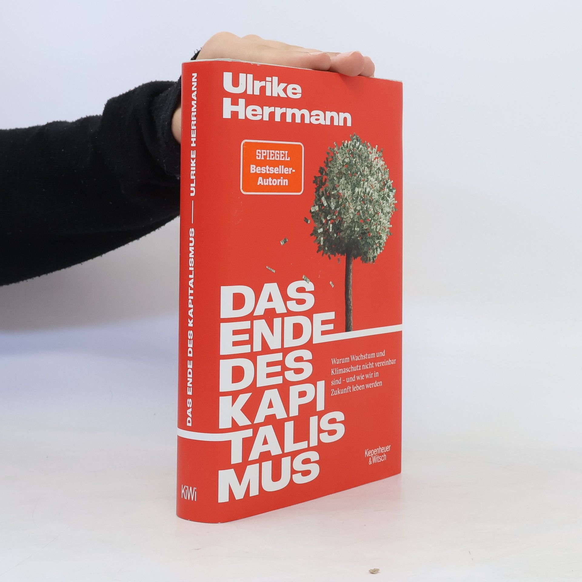 Ulrike Herrmann Das Ende des Kapitalismus