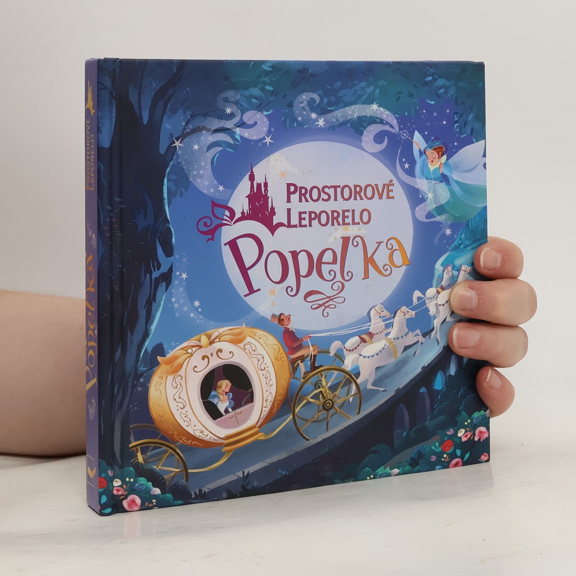 Zanna Davidson Popelka, prostorové leporelo