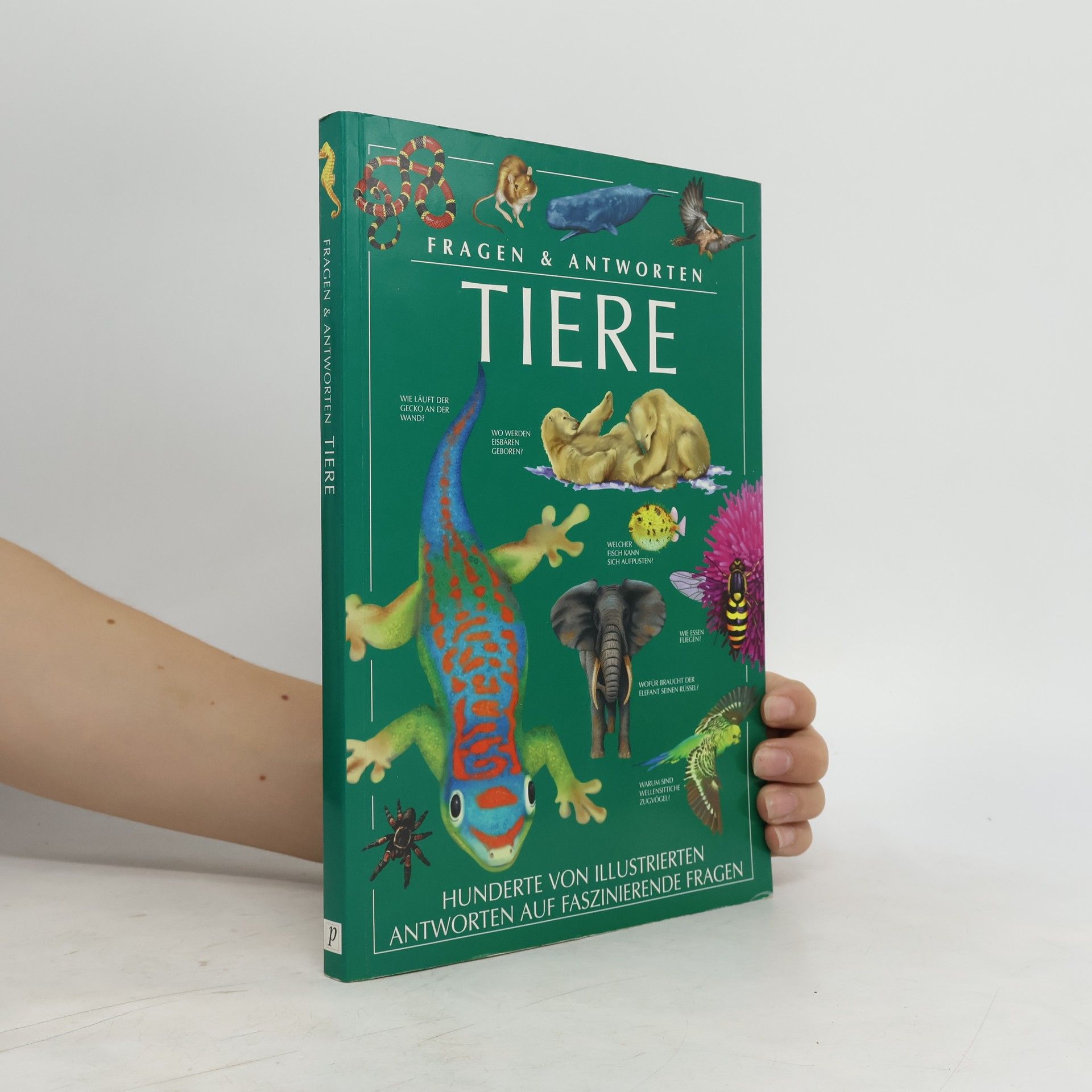 Nazire Ergün Tiere