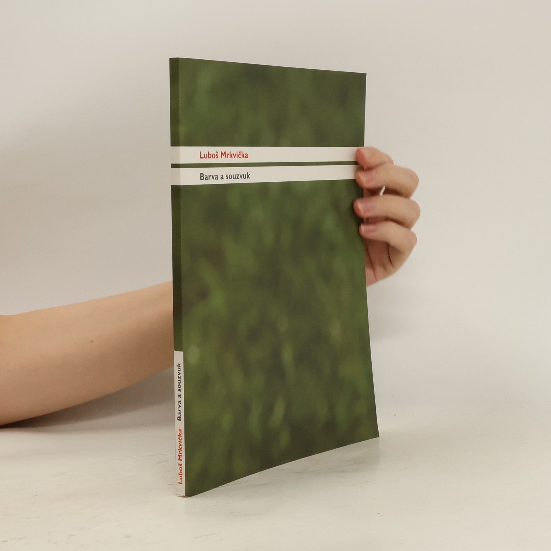 Luboš Mrkvička Barva a souzvuk