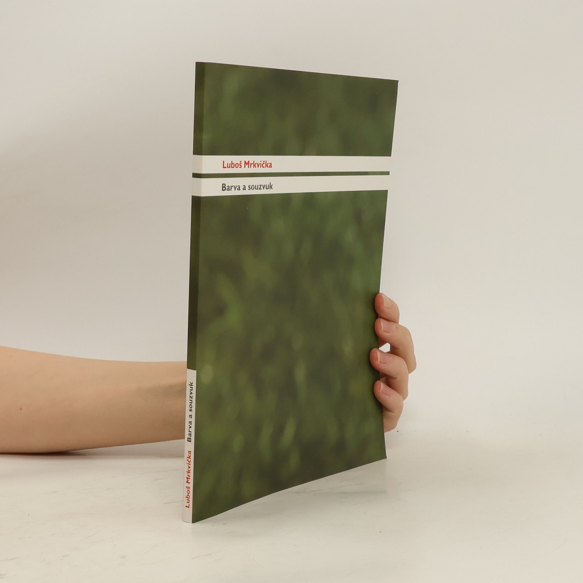 Luboš Mrkvička Barva a souzvuk