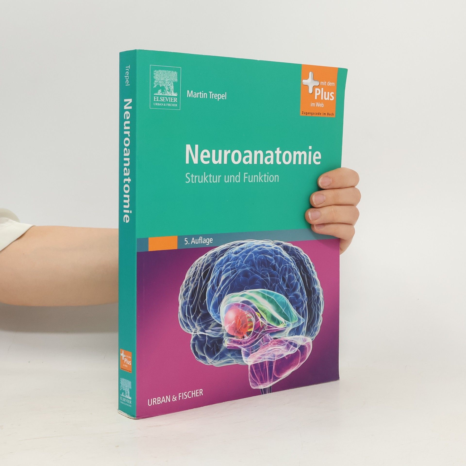 Martin Trepel Neuroanatomie