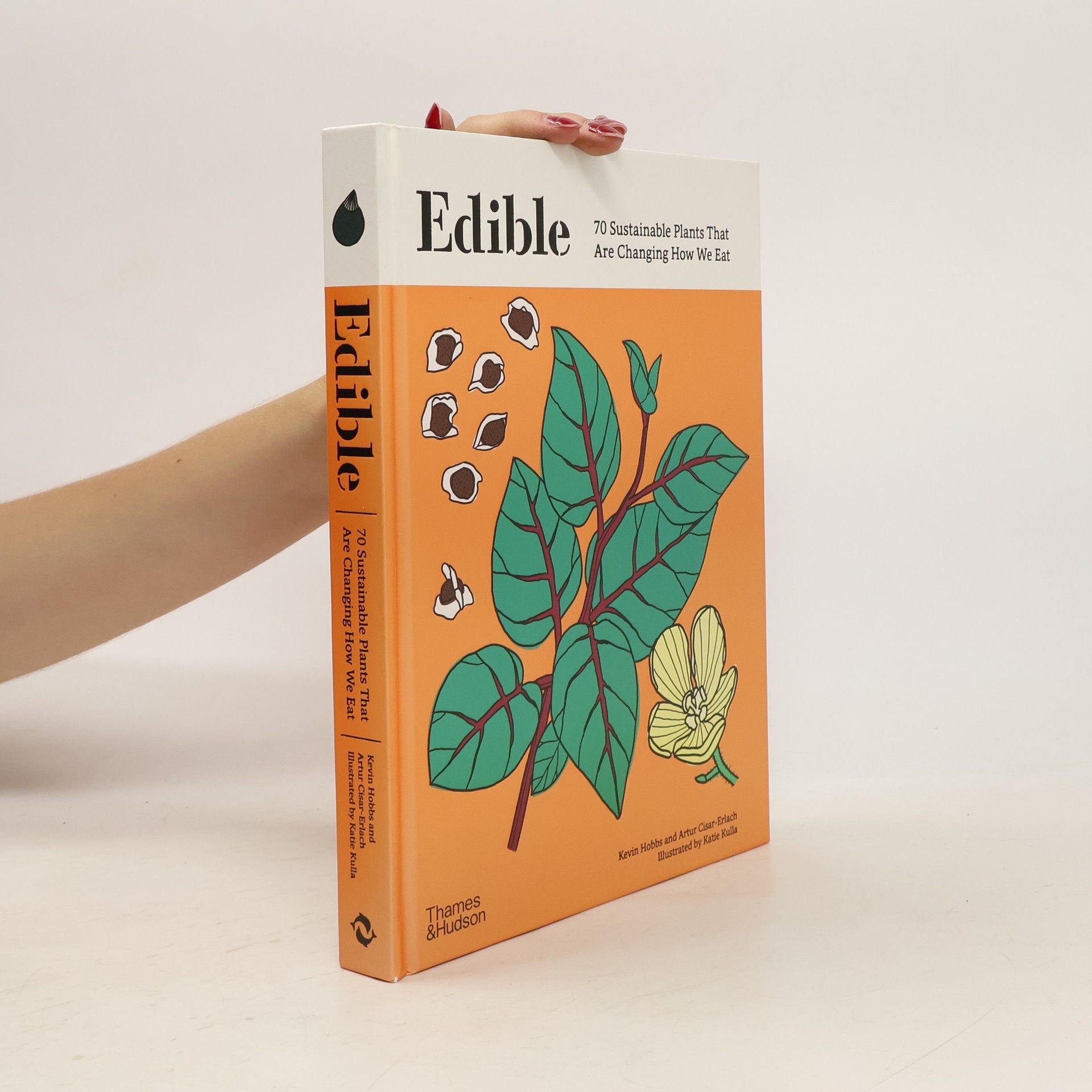 Artur Cisar-Erlach Edible