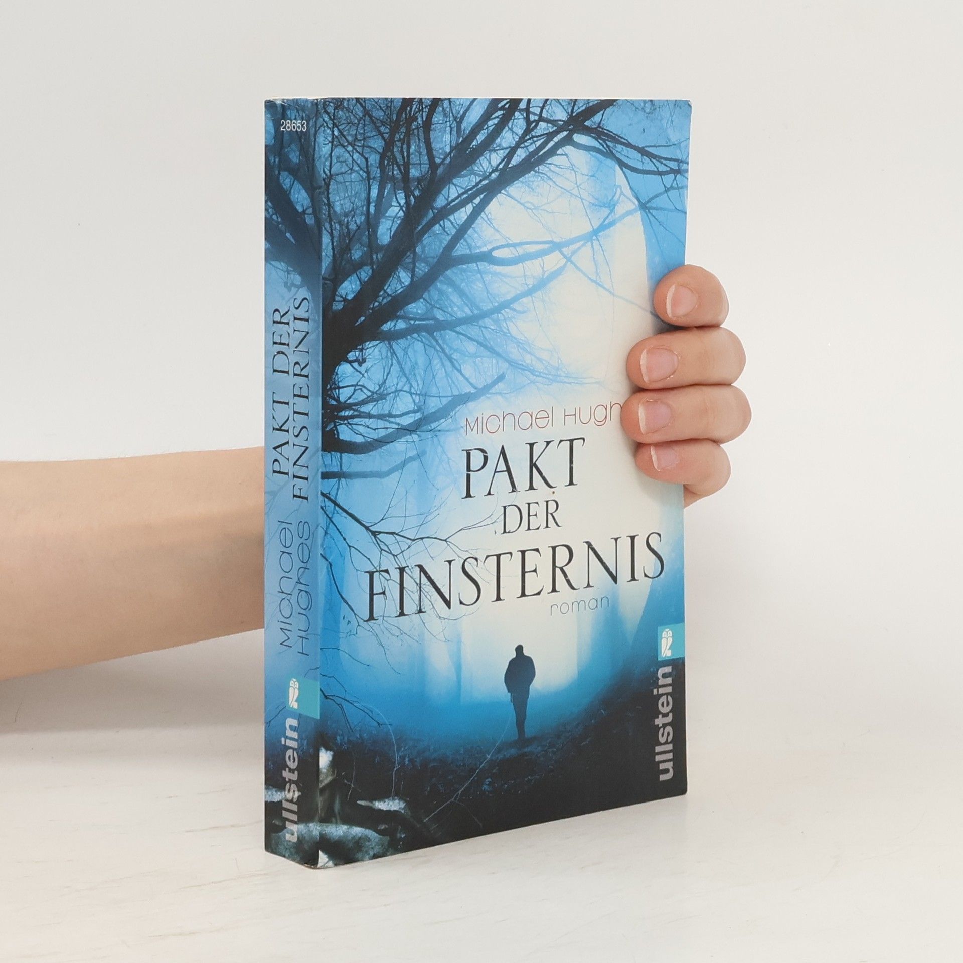 Michael Hughes Pakt der Finsternis