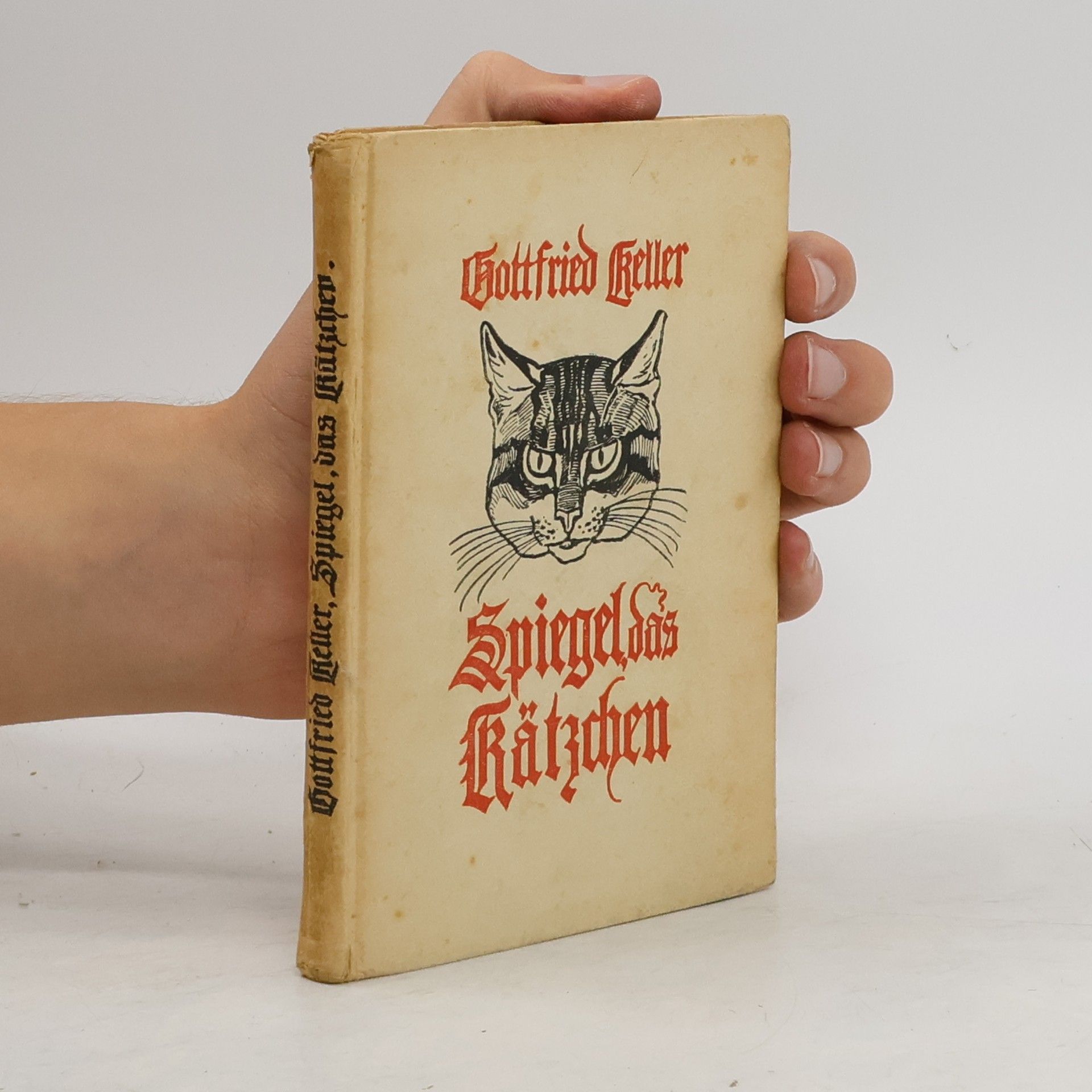 Gottfried Keller Spiegel das Kätzchen