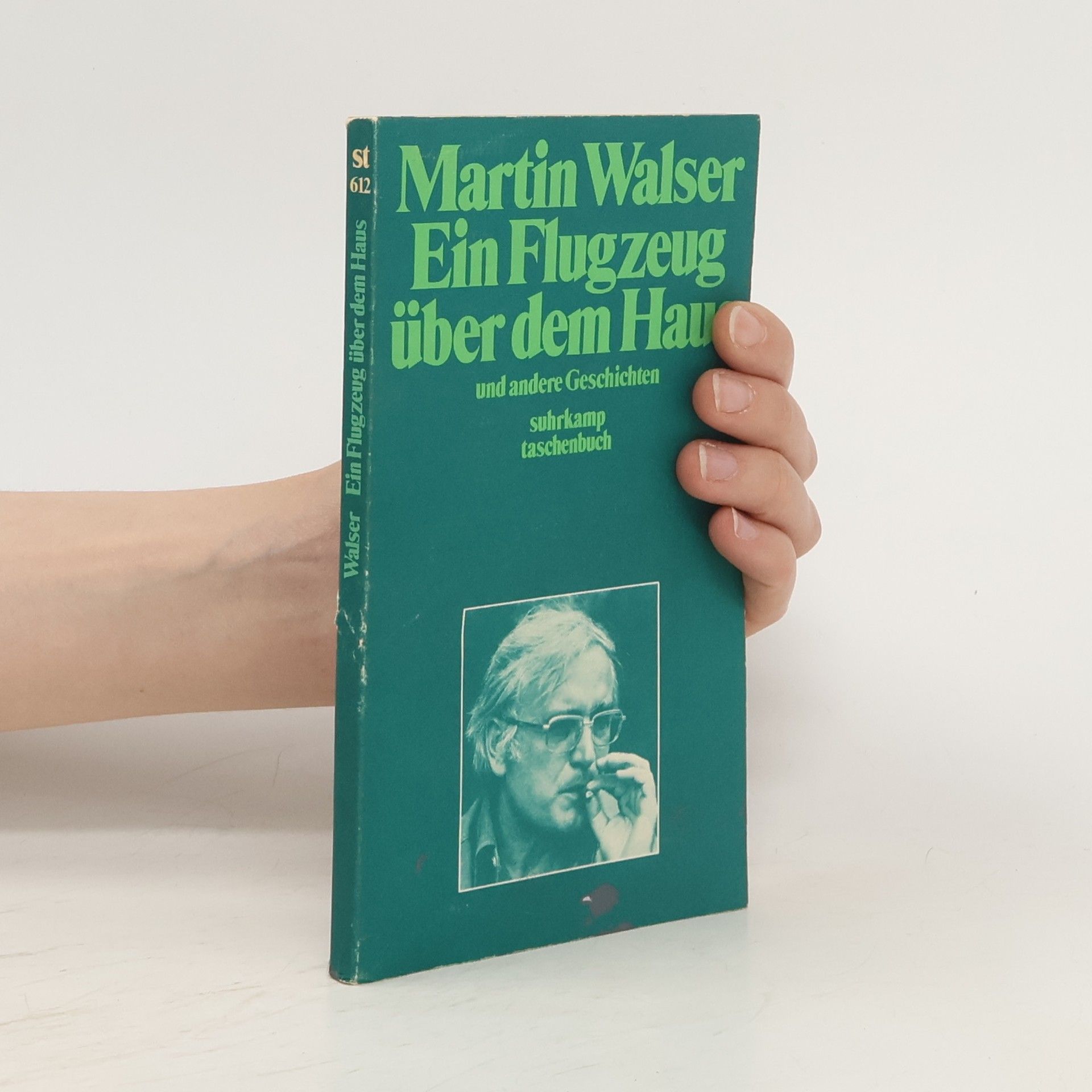 Martin Walser Ein Flugzeug über dem Haus und andere Geschichten