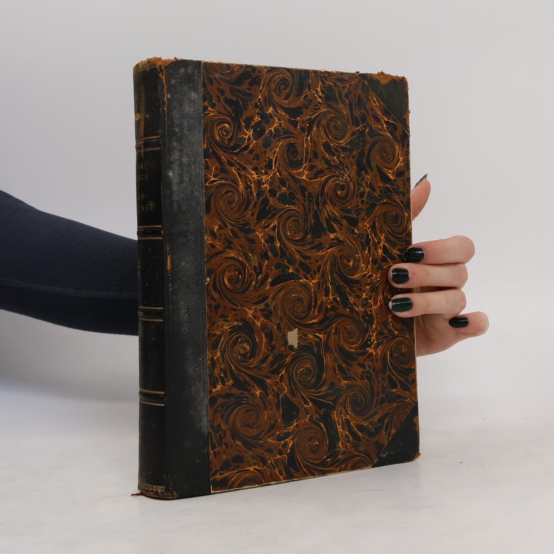 Ernst Fuchs Lehrbuch der Augenheilkunde