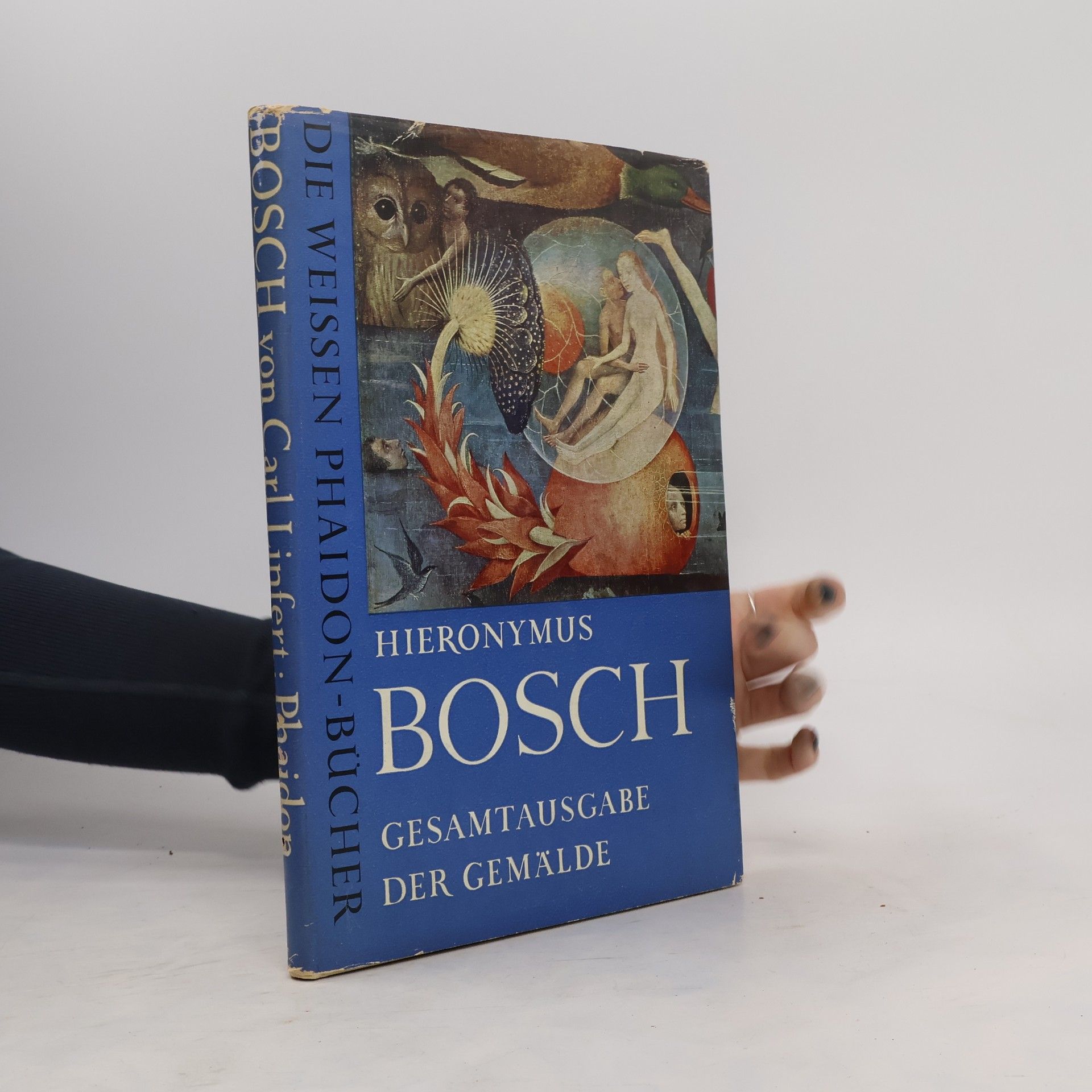 Hieronymus Bosch Die Gemälde Gesamtausgabe