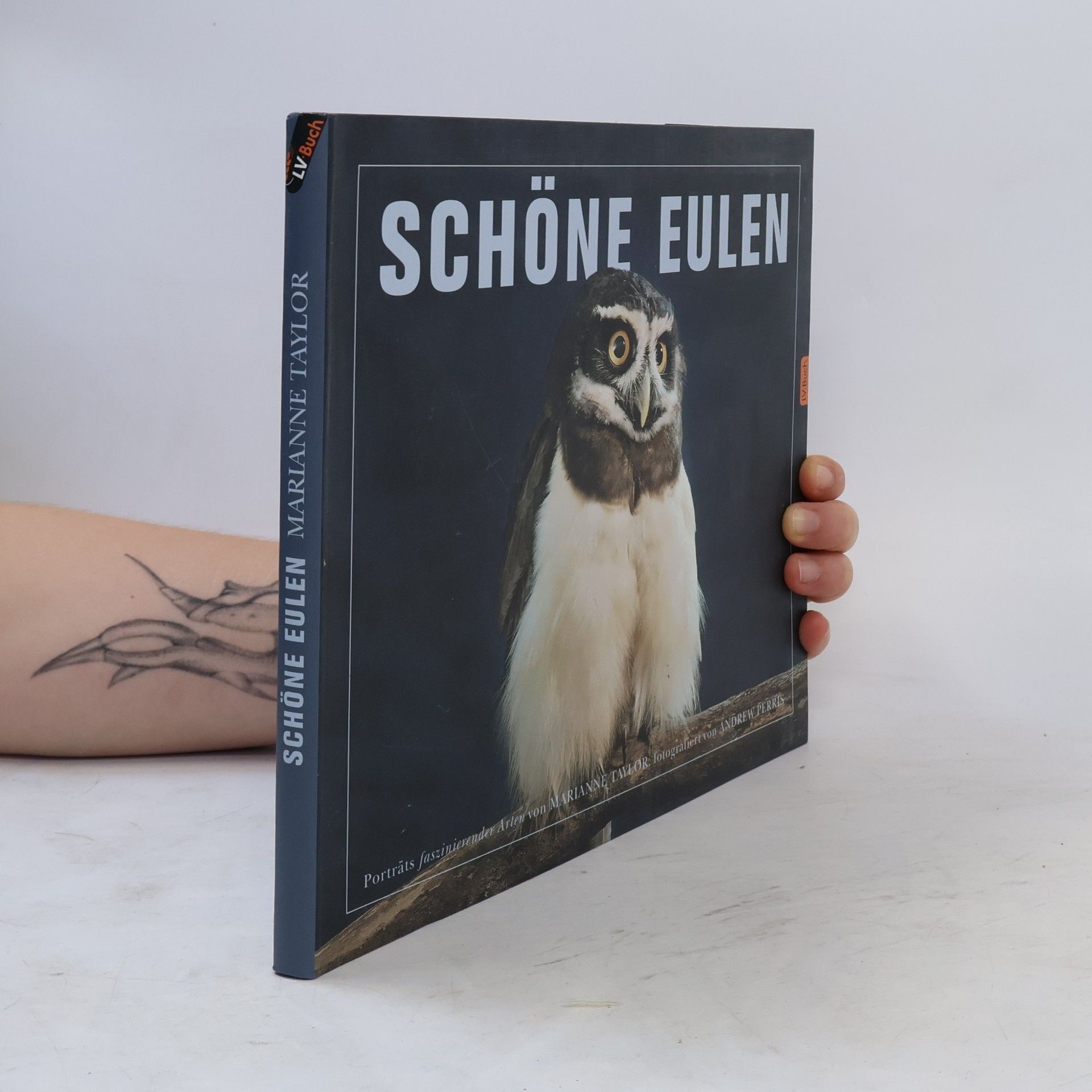 Marianne Taylor Schöne Eulen