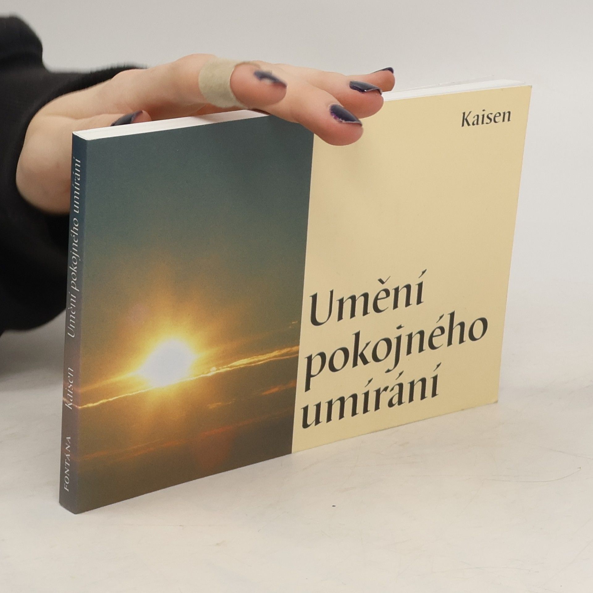 Kaisen Umění pokojného umírání