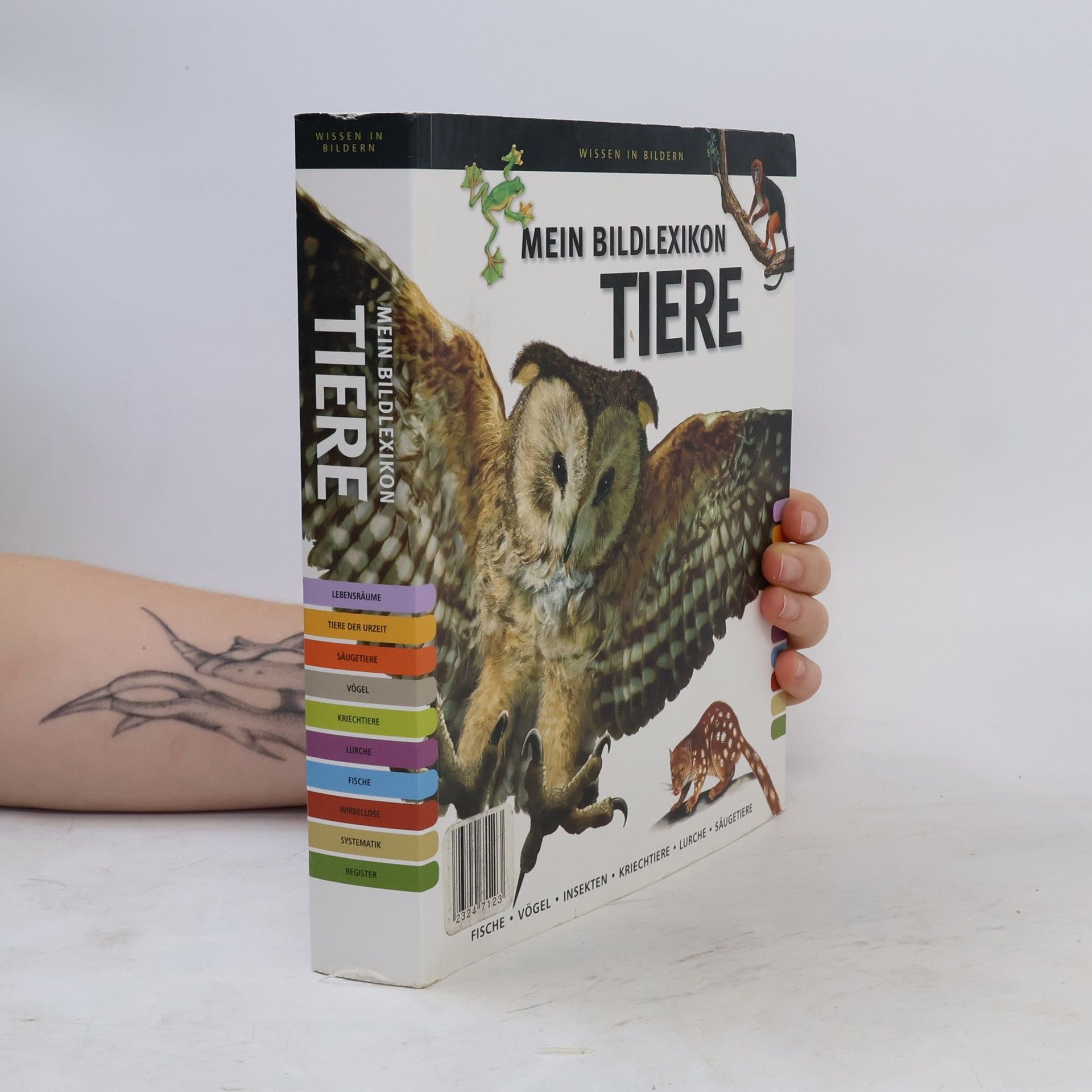 Collectif d'auteurs Mein Bildlexikon Tiere