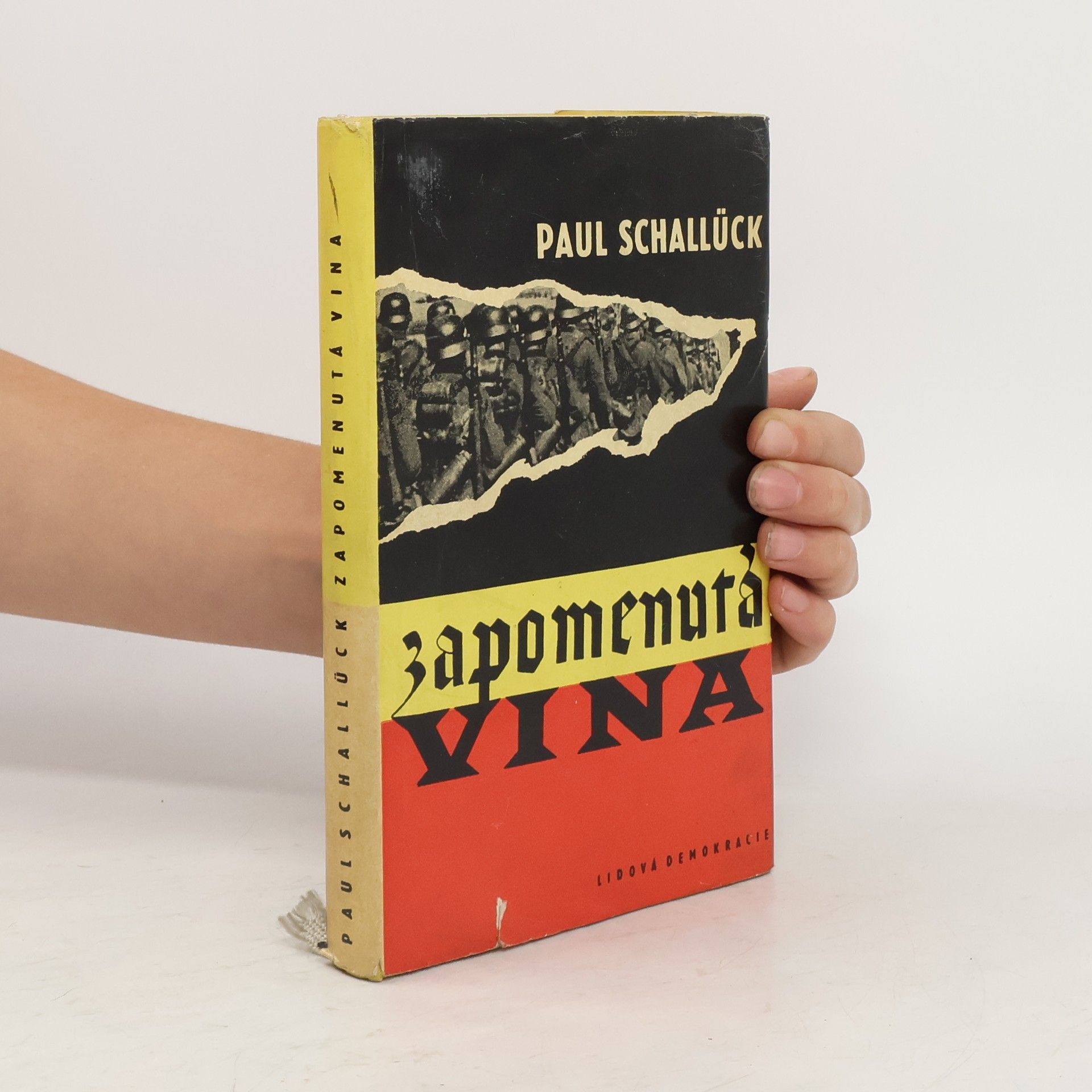 Paul Schallück Zapomenutá vina