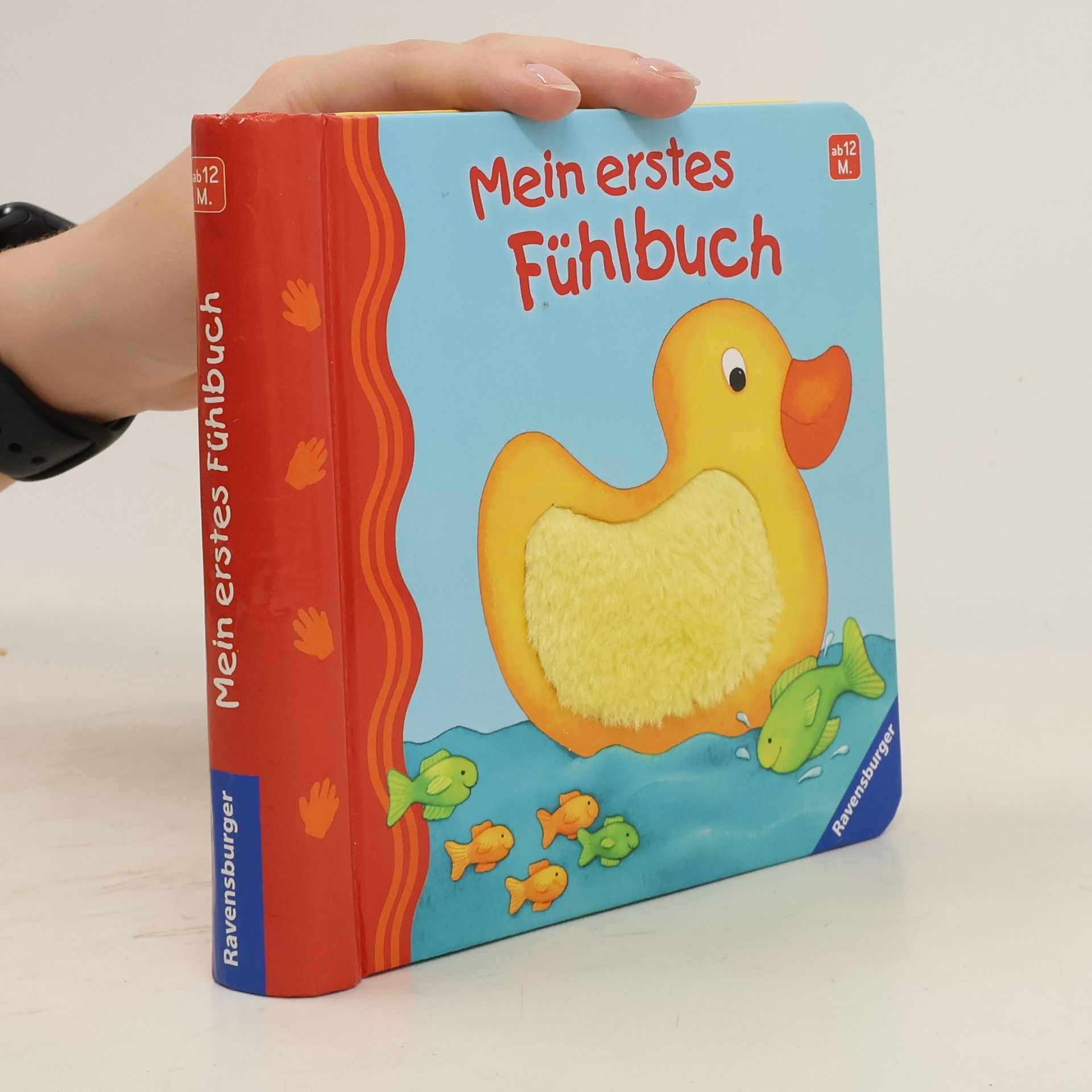 Monika Neubacher Fesser Mein erstes Fühlbuch