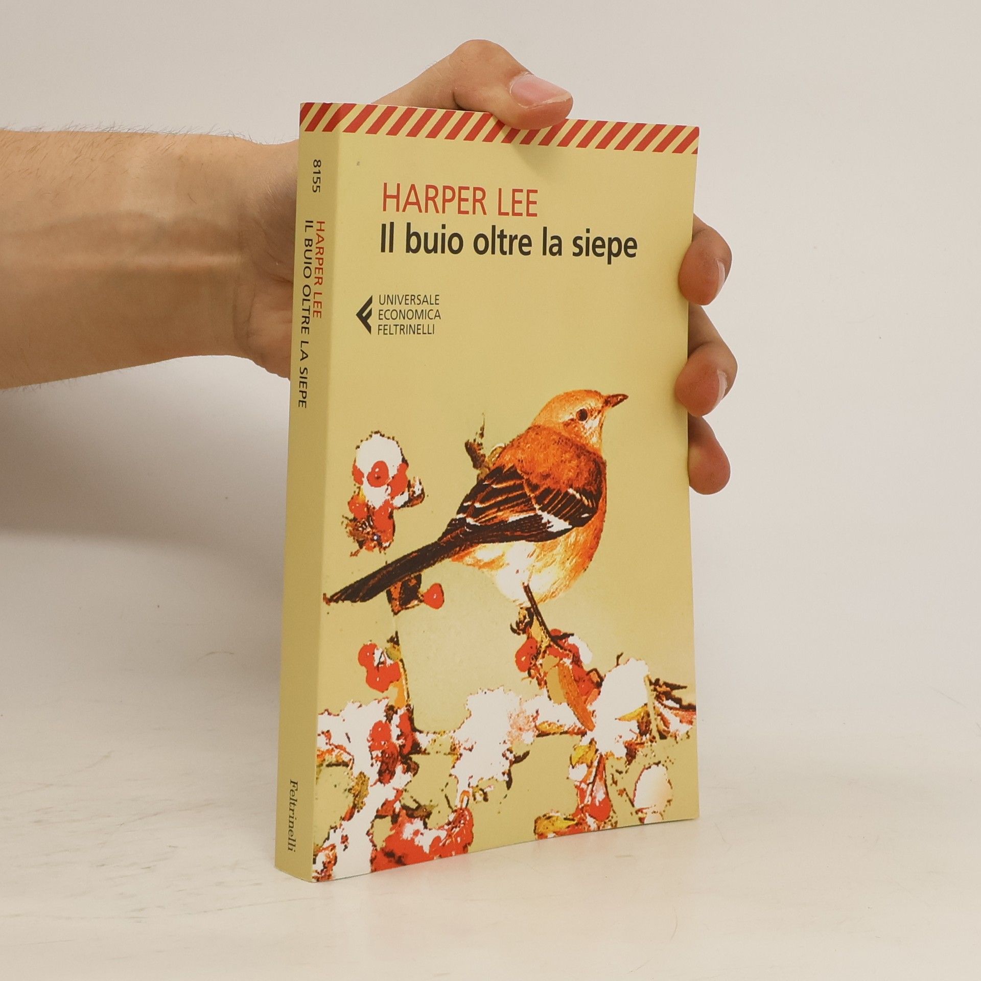 Harper Lee Il buio oltre la siepe