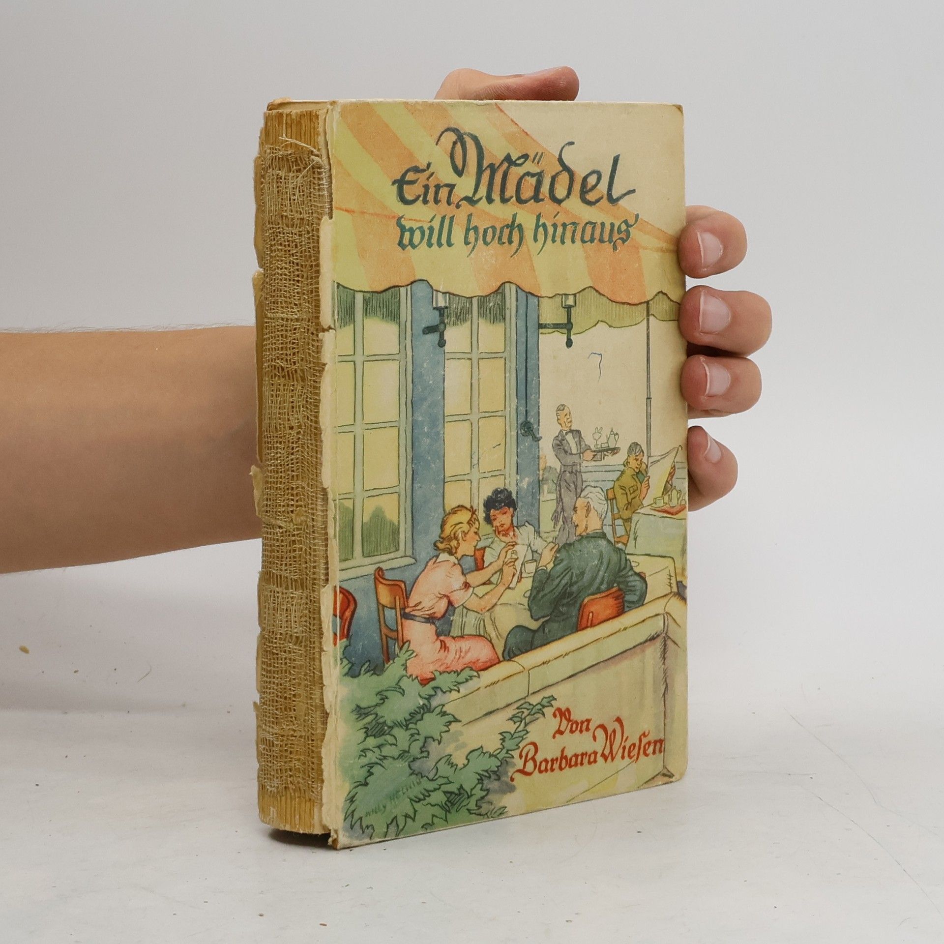 Barbara Wiesen Ein Mädel will hoch hinaus