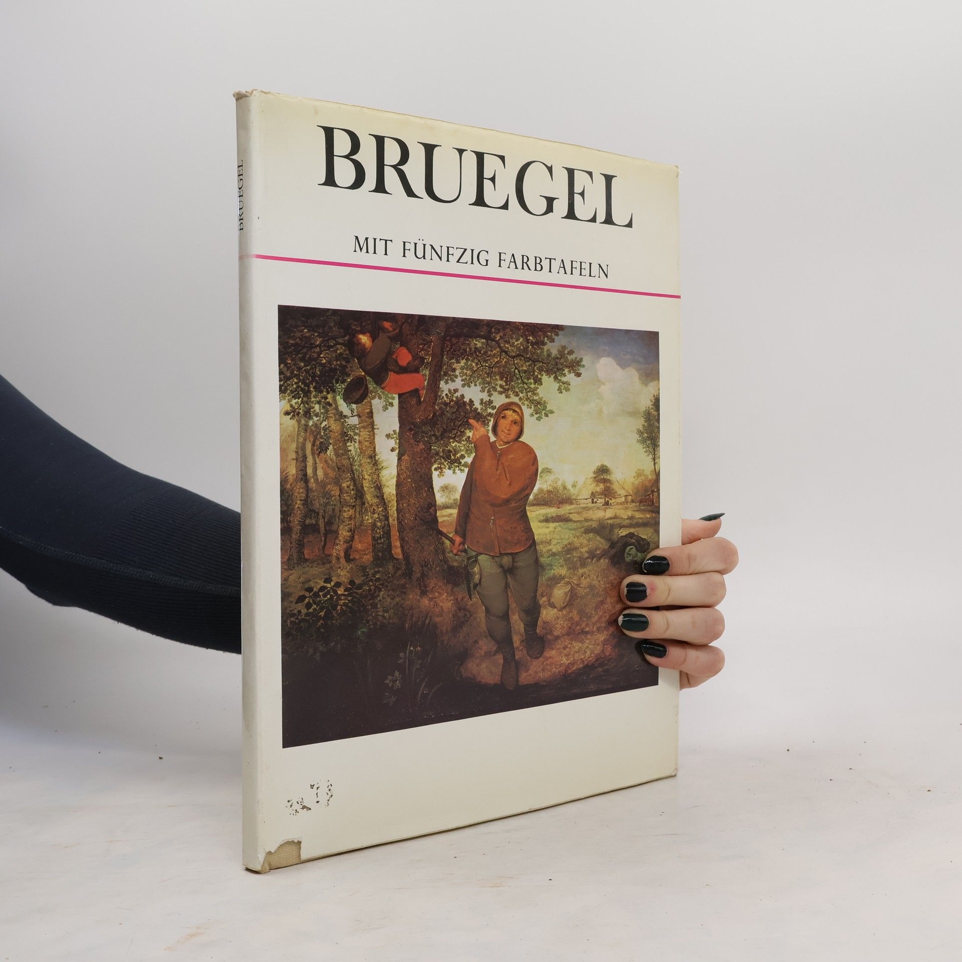 Roberts Keith Bruegel mit fünfzig Farbtafeln