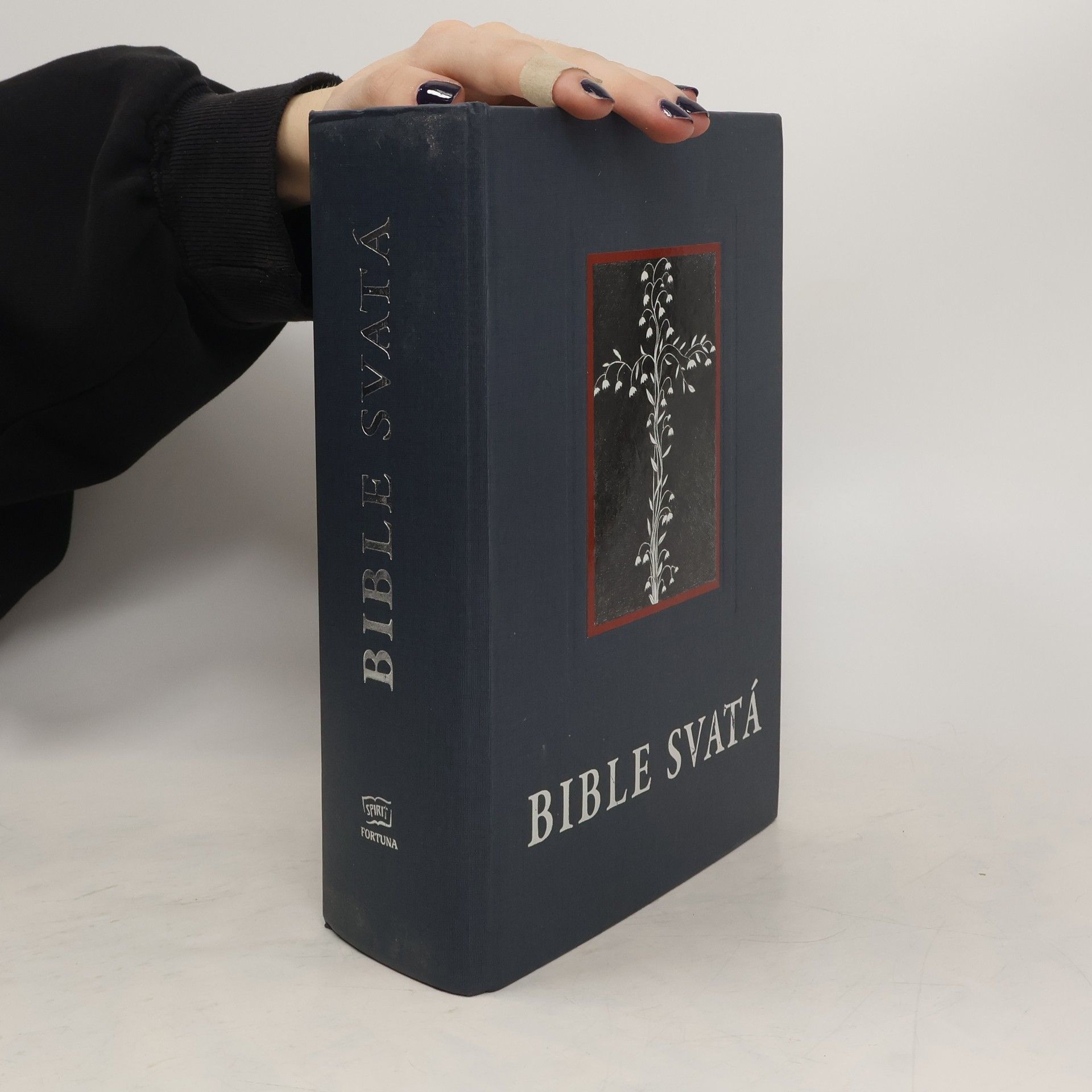 Collective  Kralická Bible svatá, aneb, Všecka svatá písma Starého i Nového zákona : podle posledního vydání Kralického z roku 1613