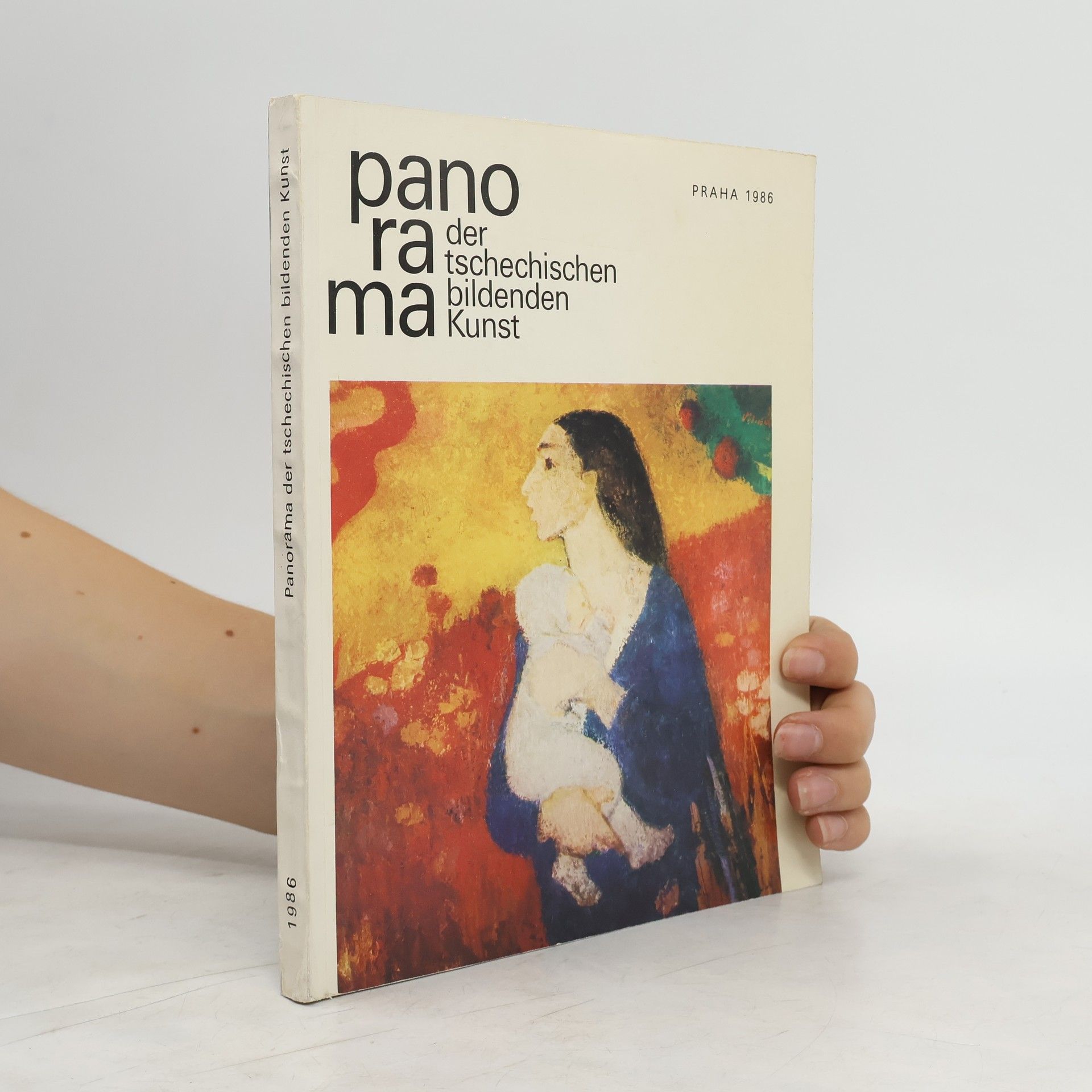 Collectif d'auteurs Panorama der tschechischen bildenden Kunst