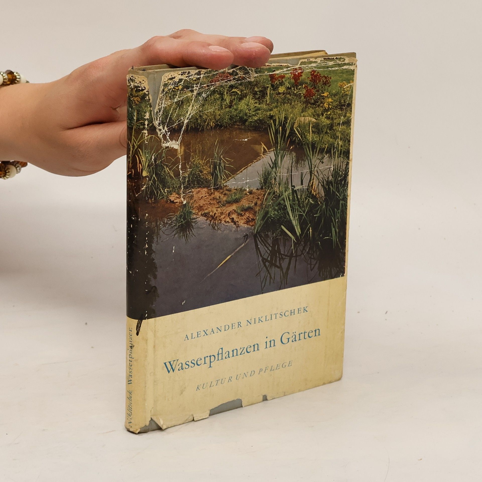 Alexander Niklitschek Wasserpflanzen in Gärten