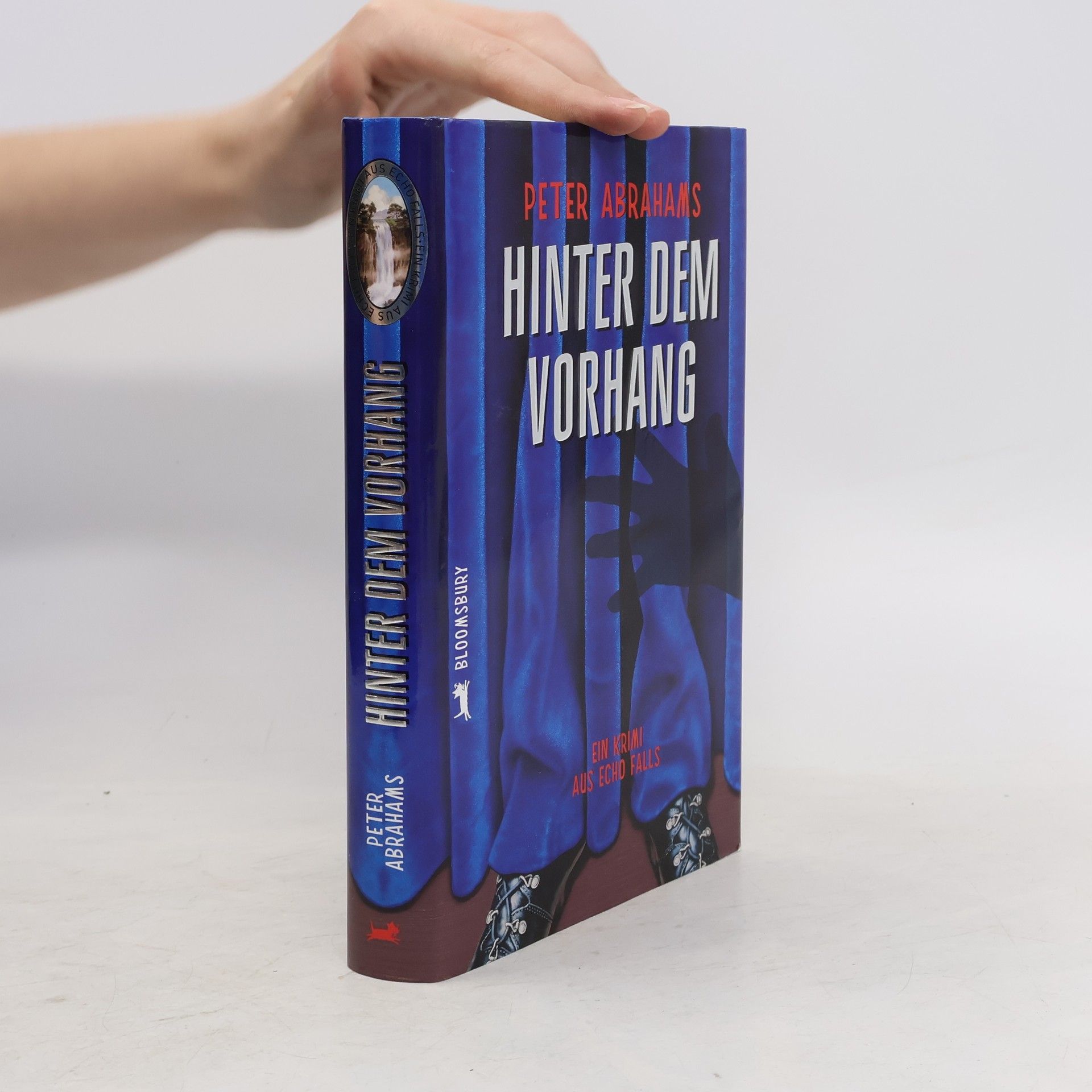 Peter Abrahams Hinter dem Vorhang